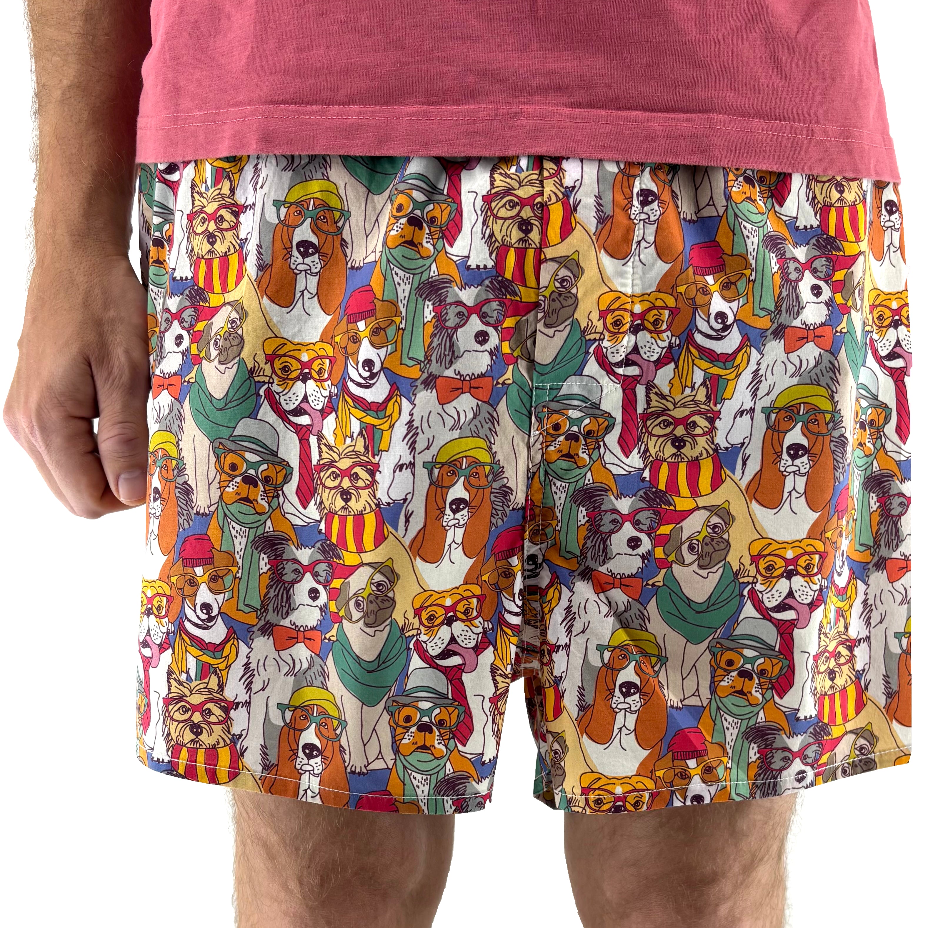 Men's Pet Lovers Inspired Stylish Dog Collage Boxer Shorts Underwear