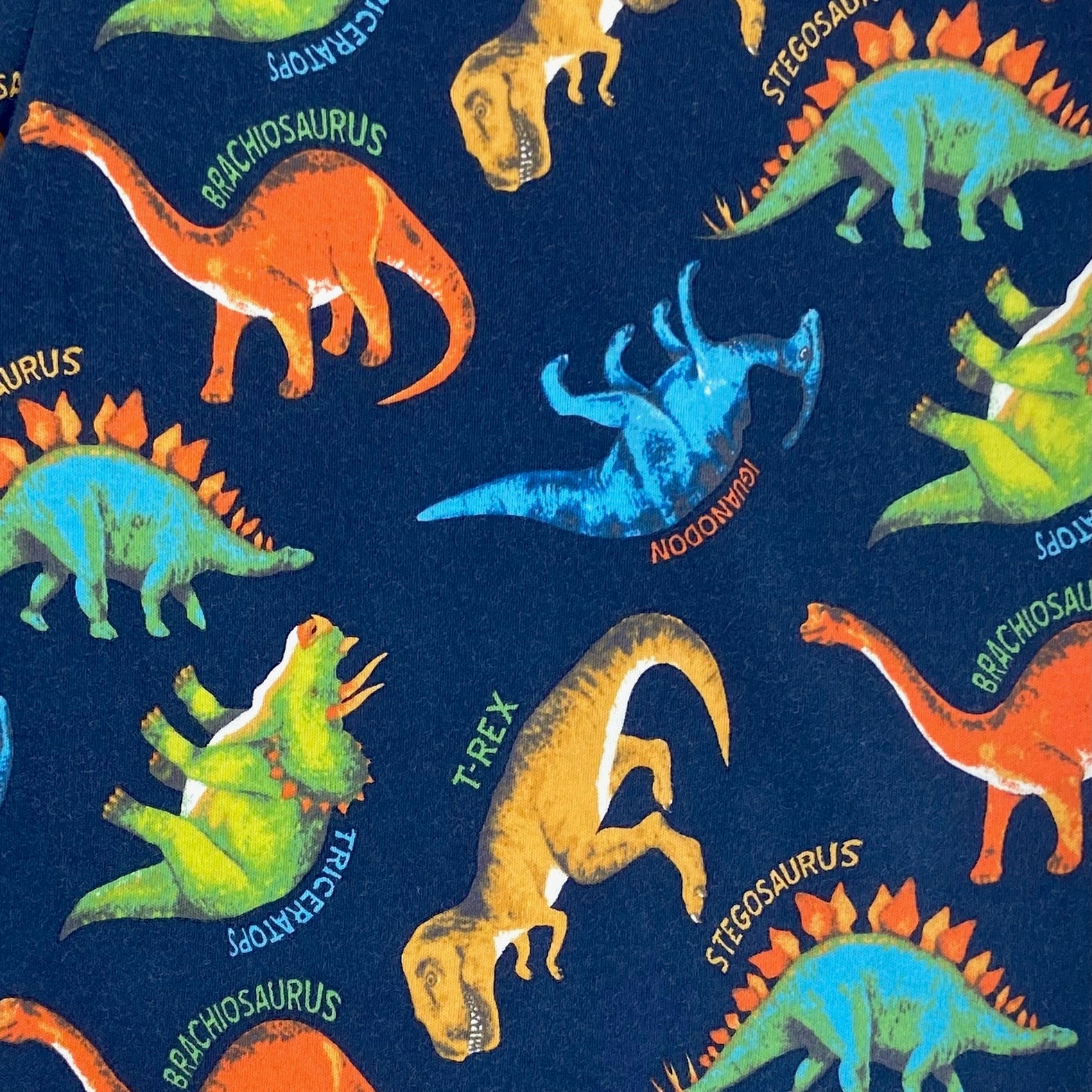 Men's Dinosaur T-Rex Patterned Cotton Knit Long Pyjama Pant Bottoms
