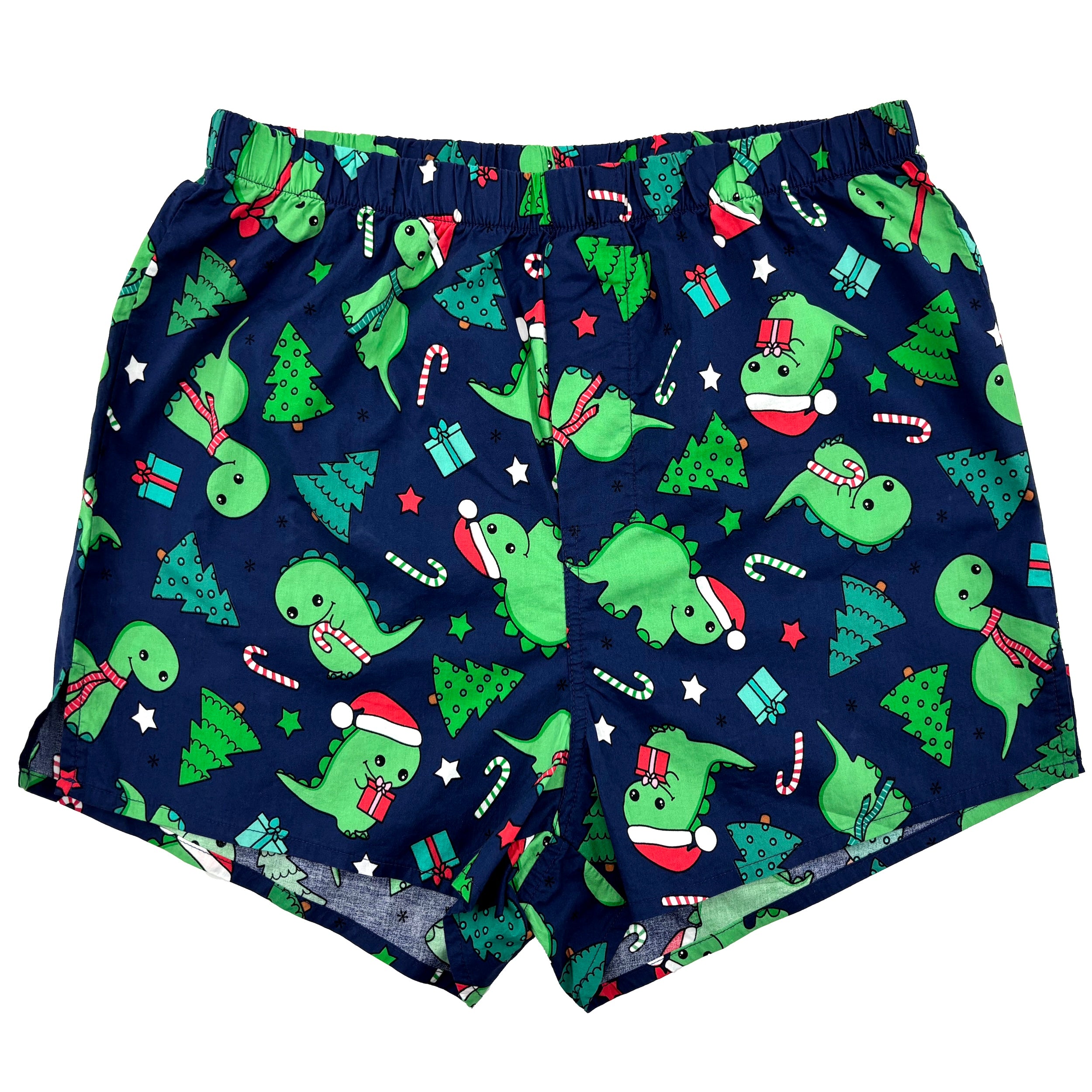 Christmas Themed Festive Dinosaurs in Santa Hats Print Boxer Shorts