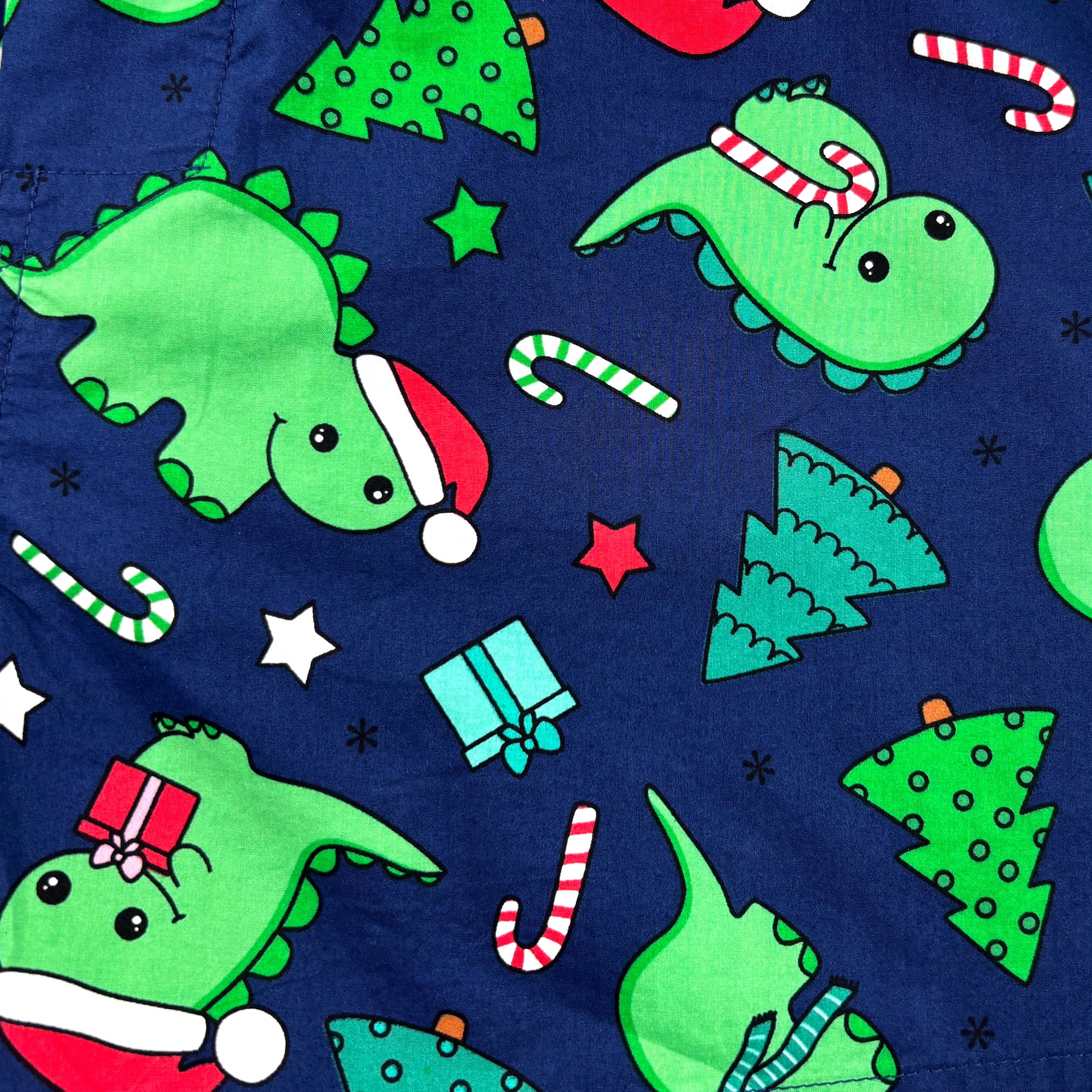 Christmas Themed Festive Dinosaurs in Santa Hats Print Boxer Shorts