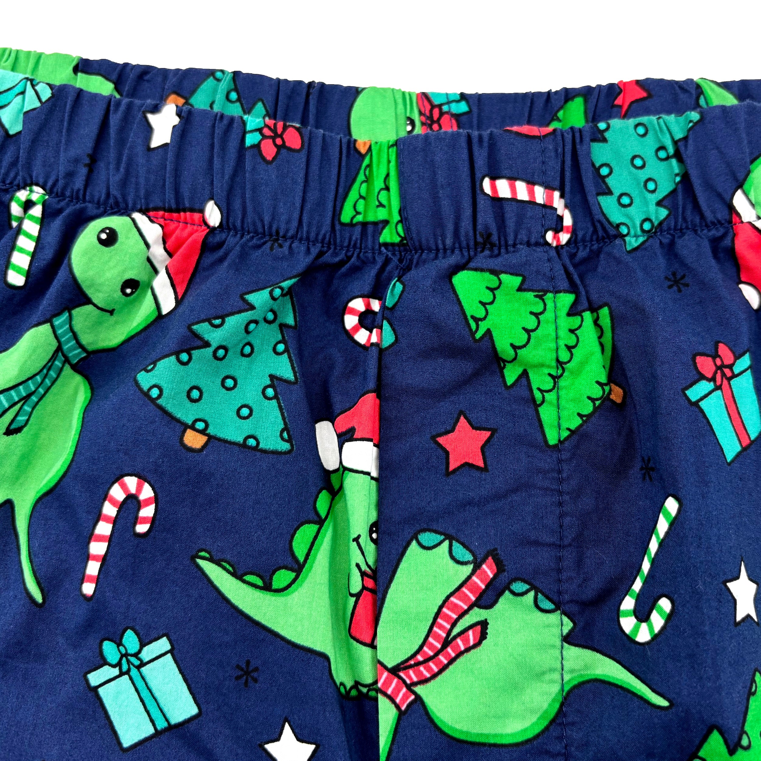 Christmas Themed Festive Dinosaurs in Santa Hats Print Boxer Shorts