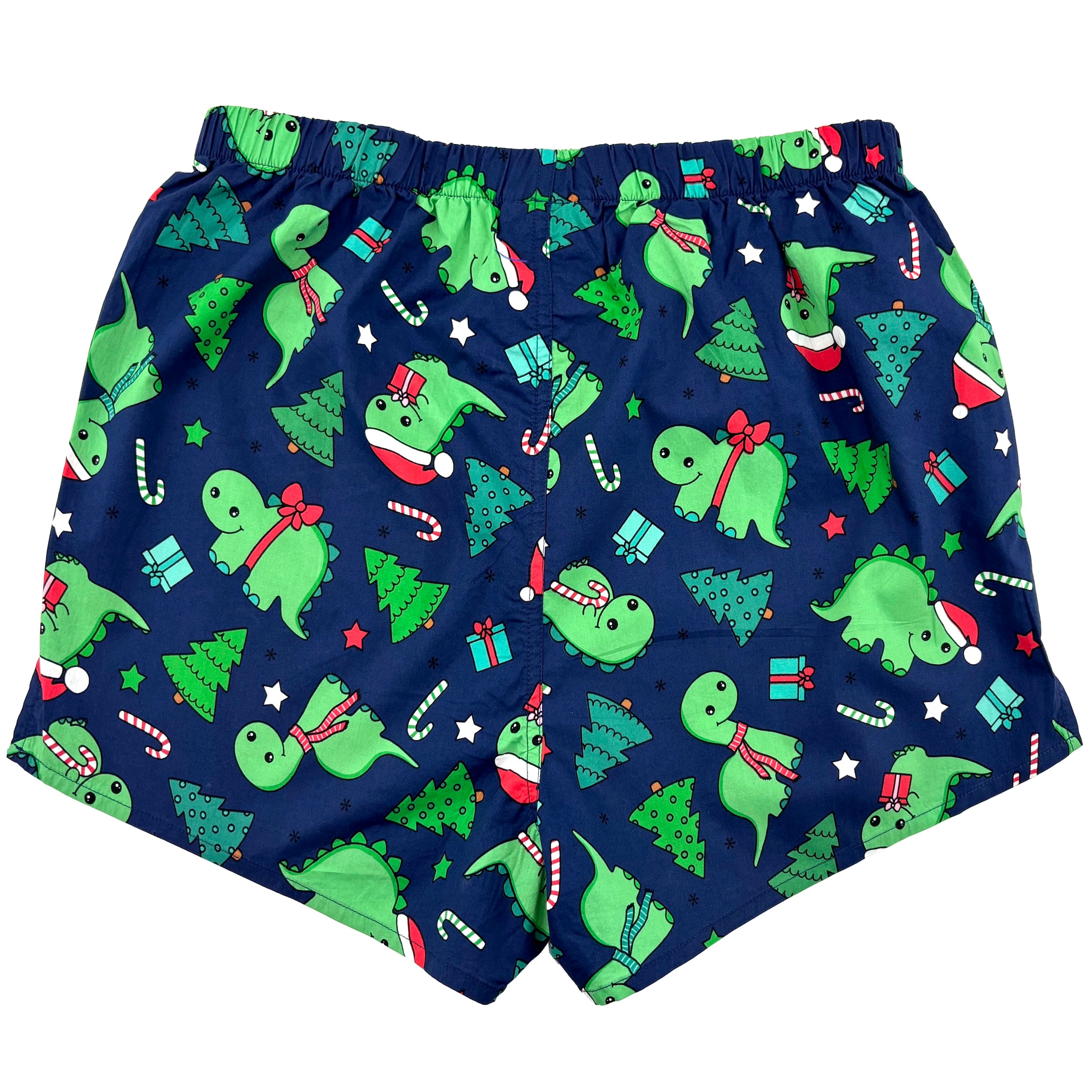 Christmas Themed Festive Dinosaurs in Santa Hats Print Boxer Shorts