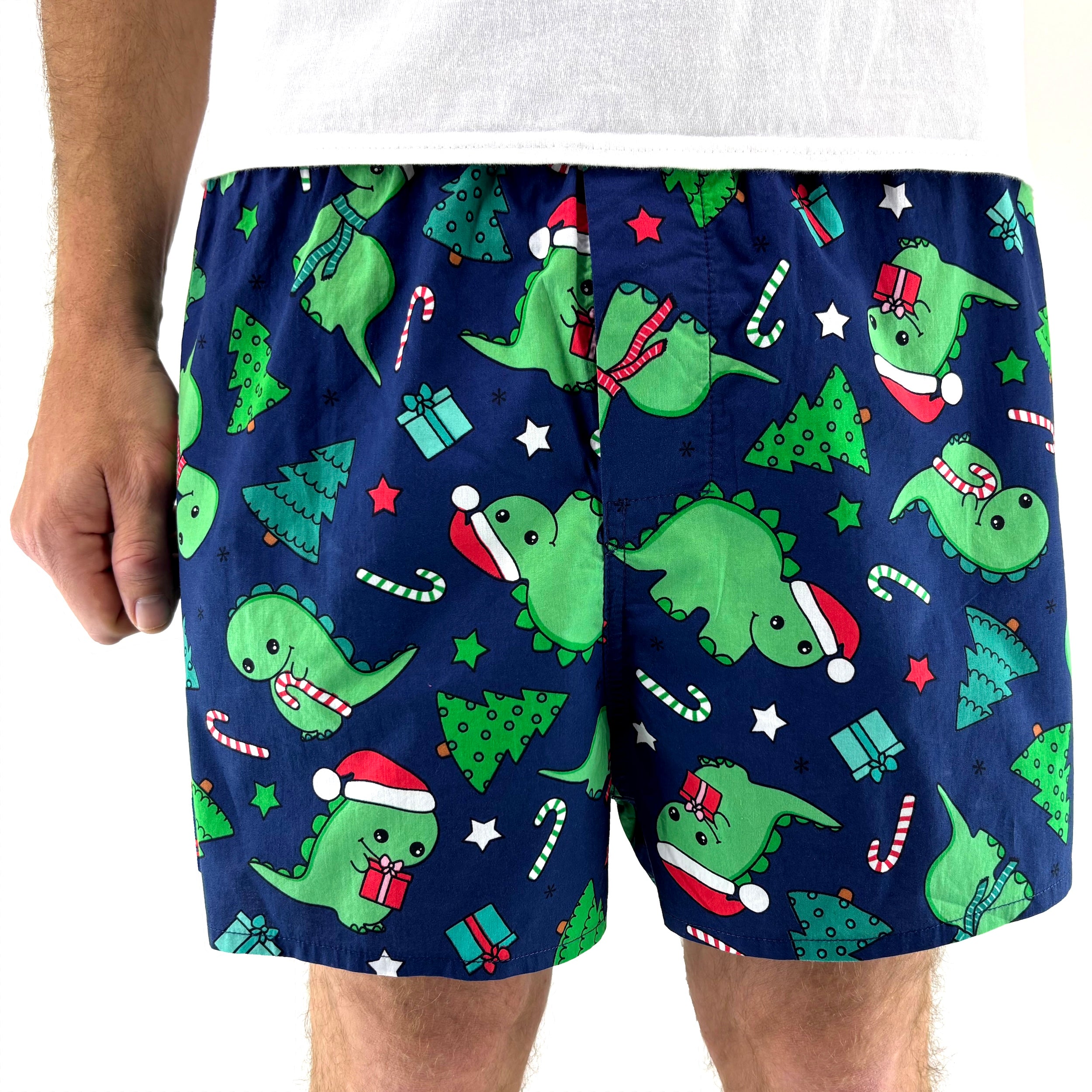 Christmas Themed Festive Dinosaurs in Santa Hats Print Boxer Shorts