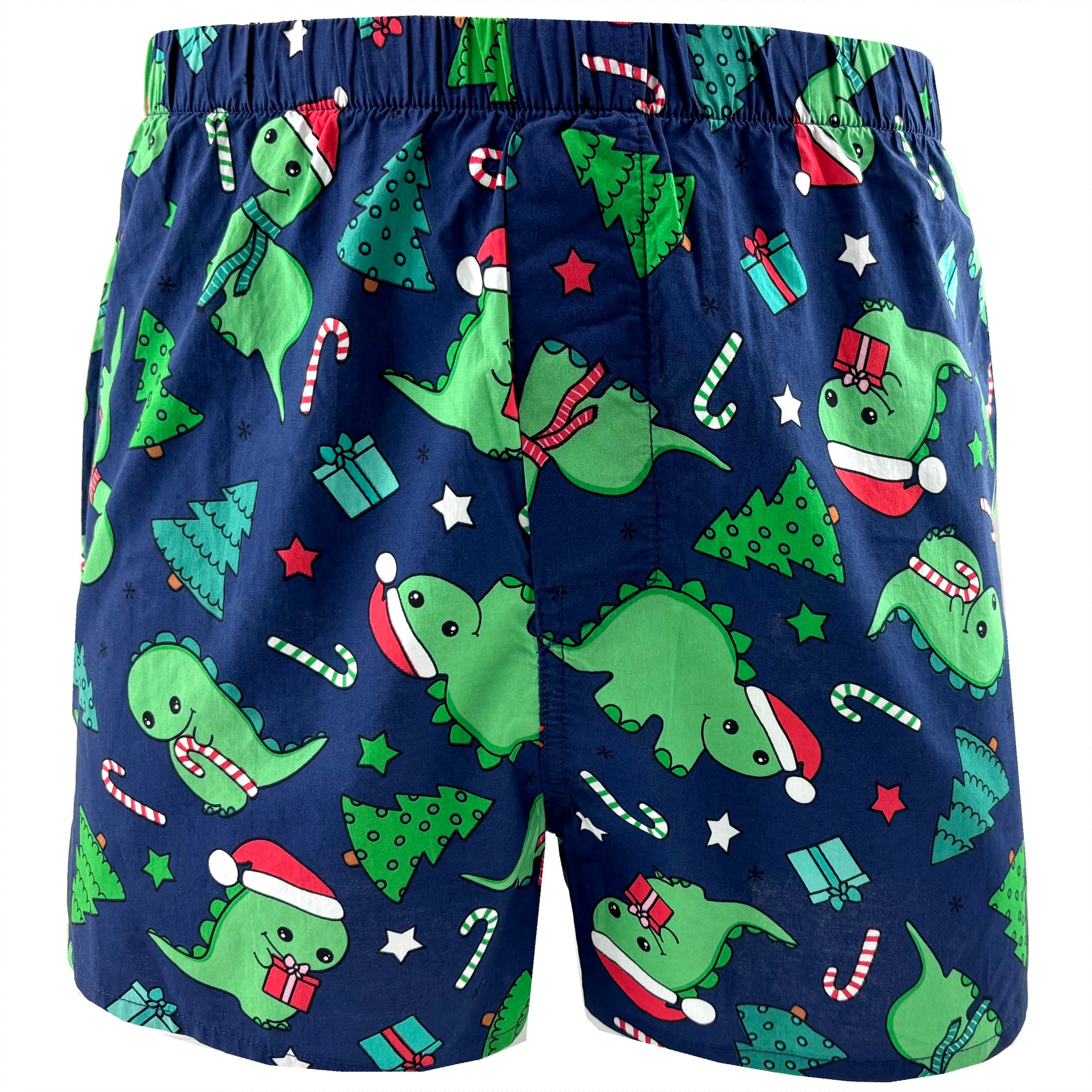 Christmas Themed Festive Dinosaurs in Santa Hats Print Boxer Shorts