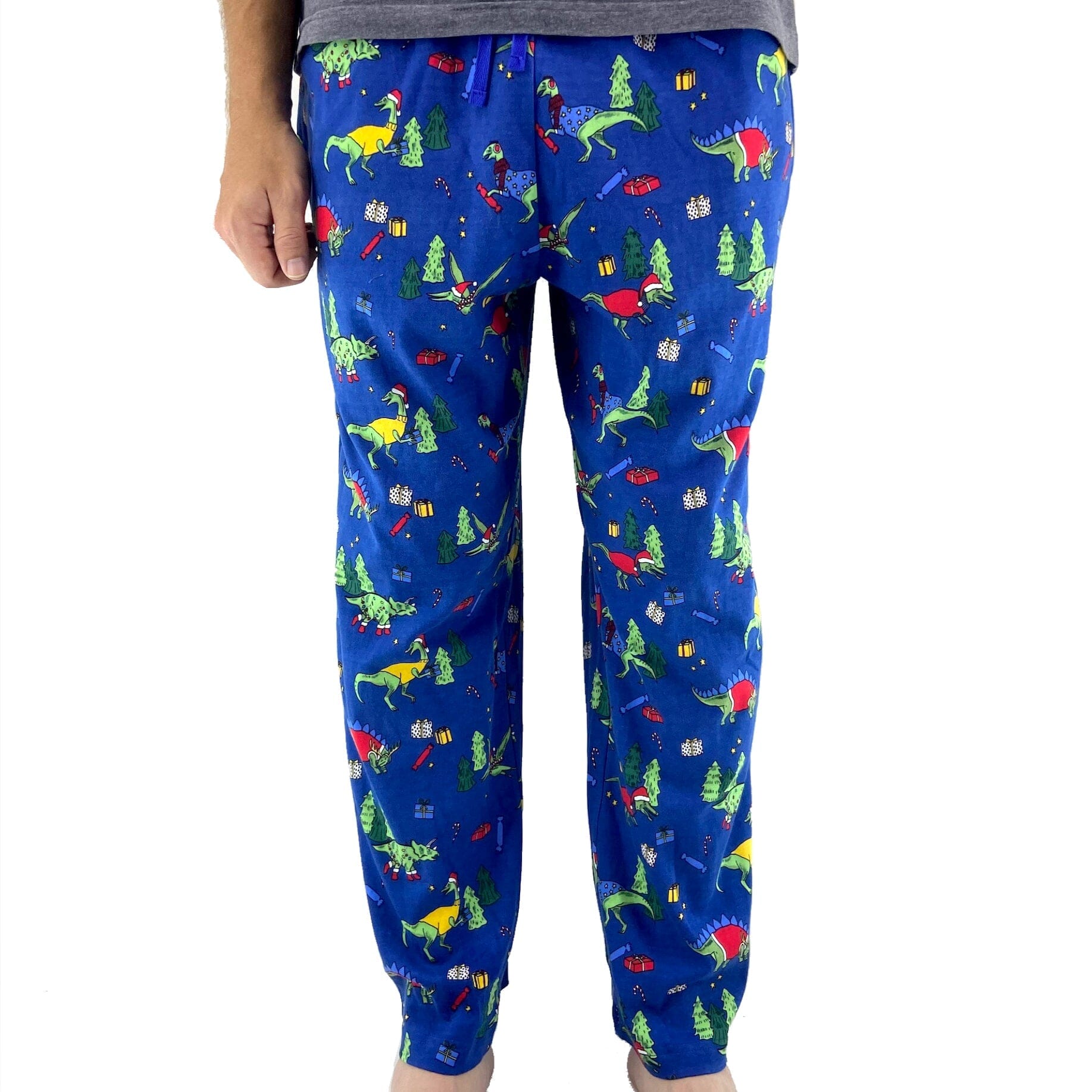 Christmas Themed Dinosaurs in Santa Hats Print Long Christmas PJ Pants