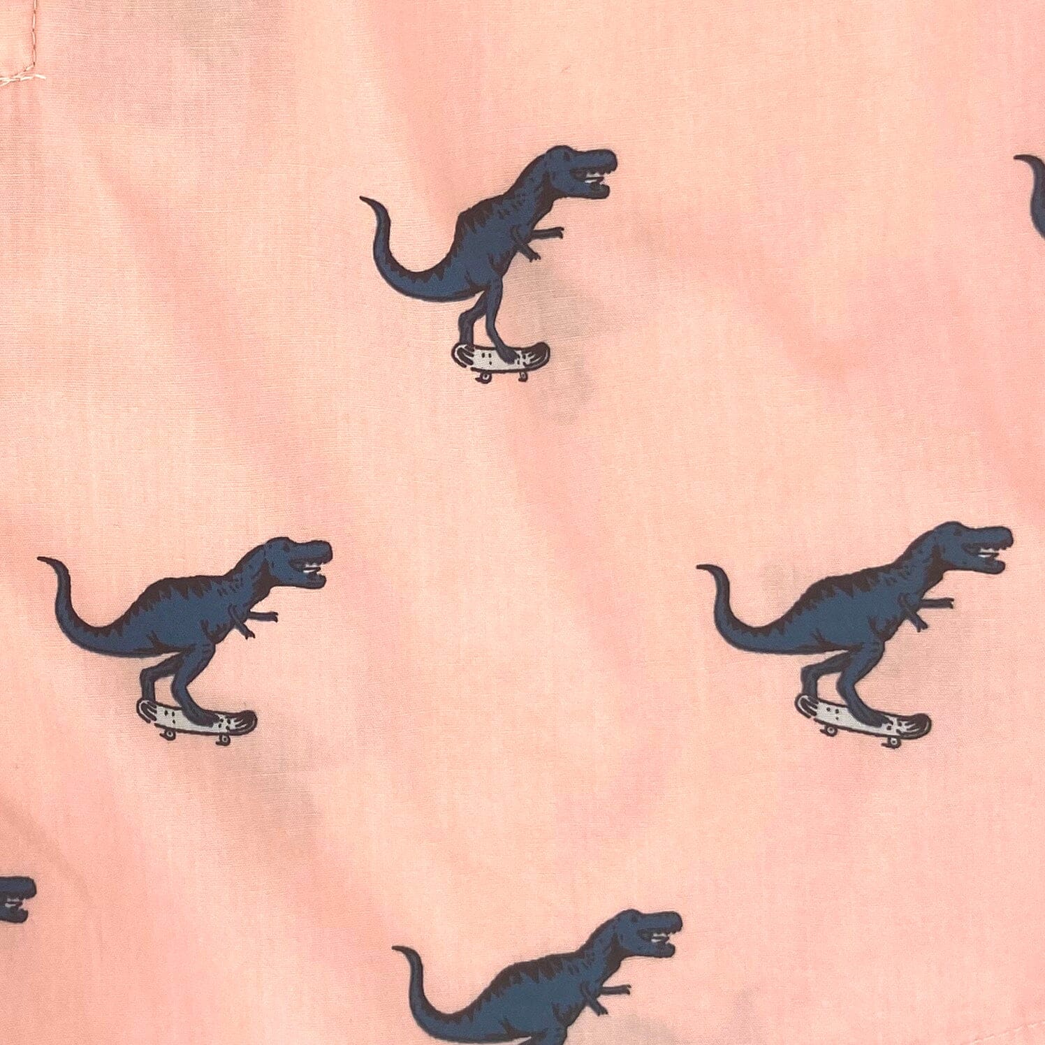 Men's T-Rex Dinosaurs on Skateboards All-Over-Print Boxer Shorts