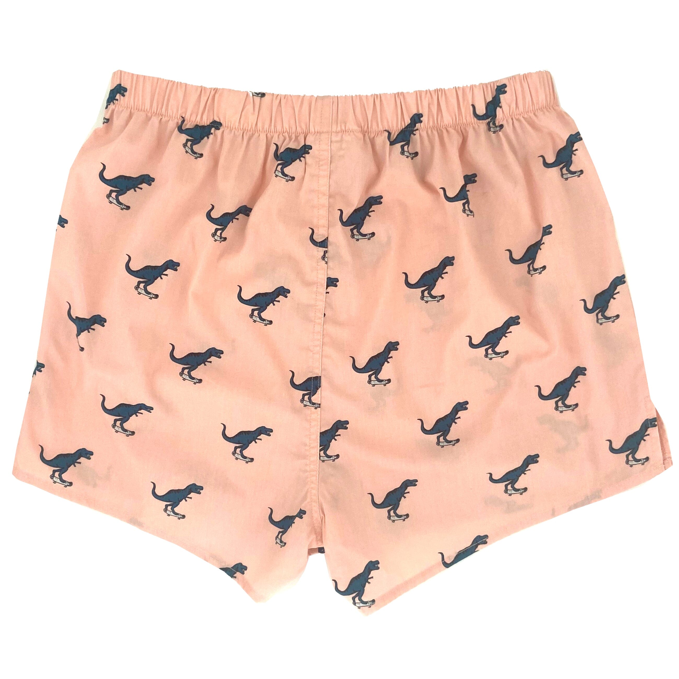 Men's T-Rex Dinosaurs on Skateboards All-Over-Print Boxer Shorts