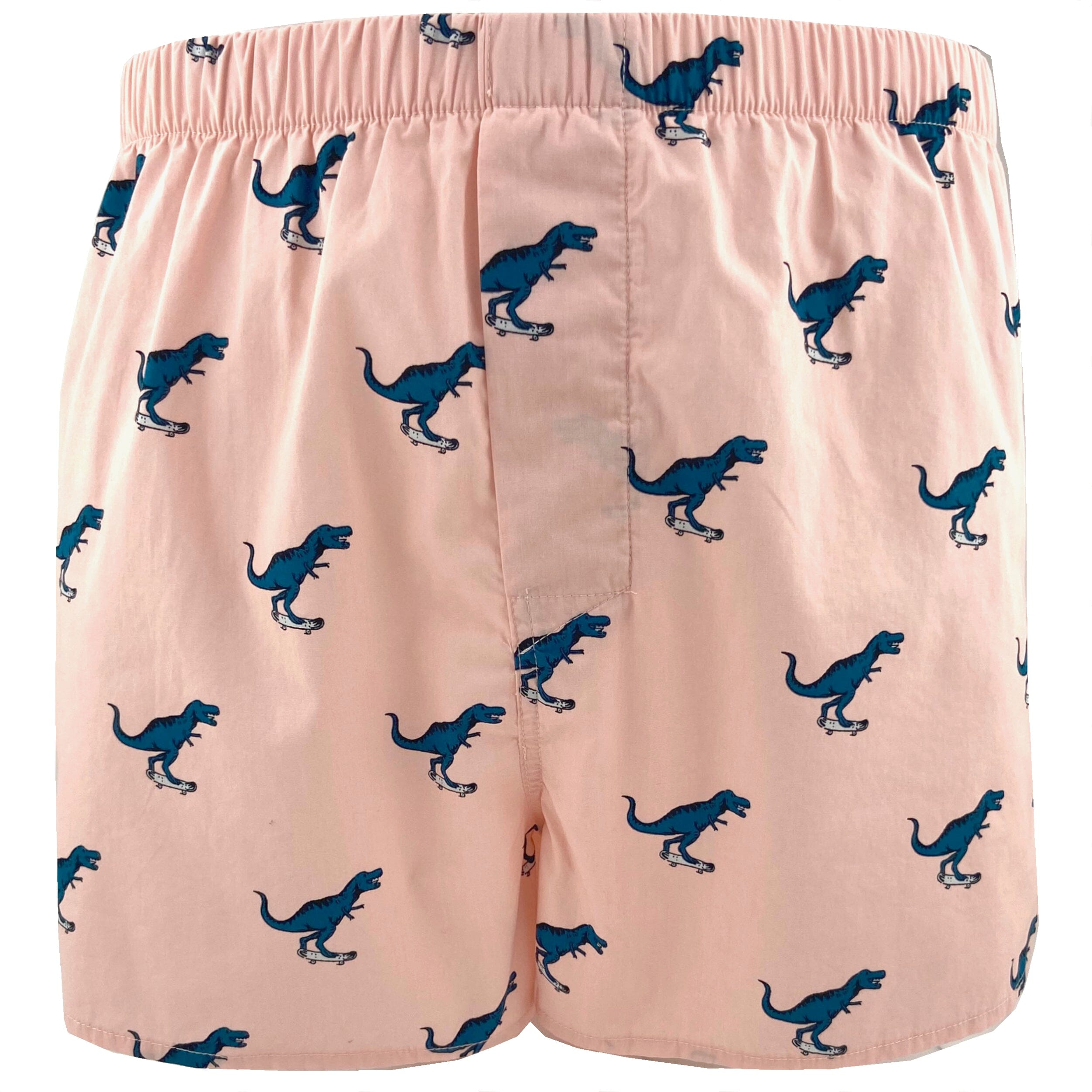 Men's T-Rex Dinosaurs on Skateboards All-Over-Print Boxer Shorts