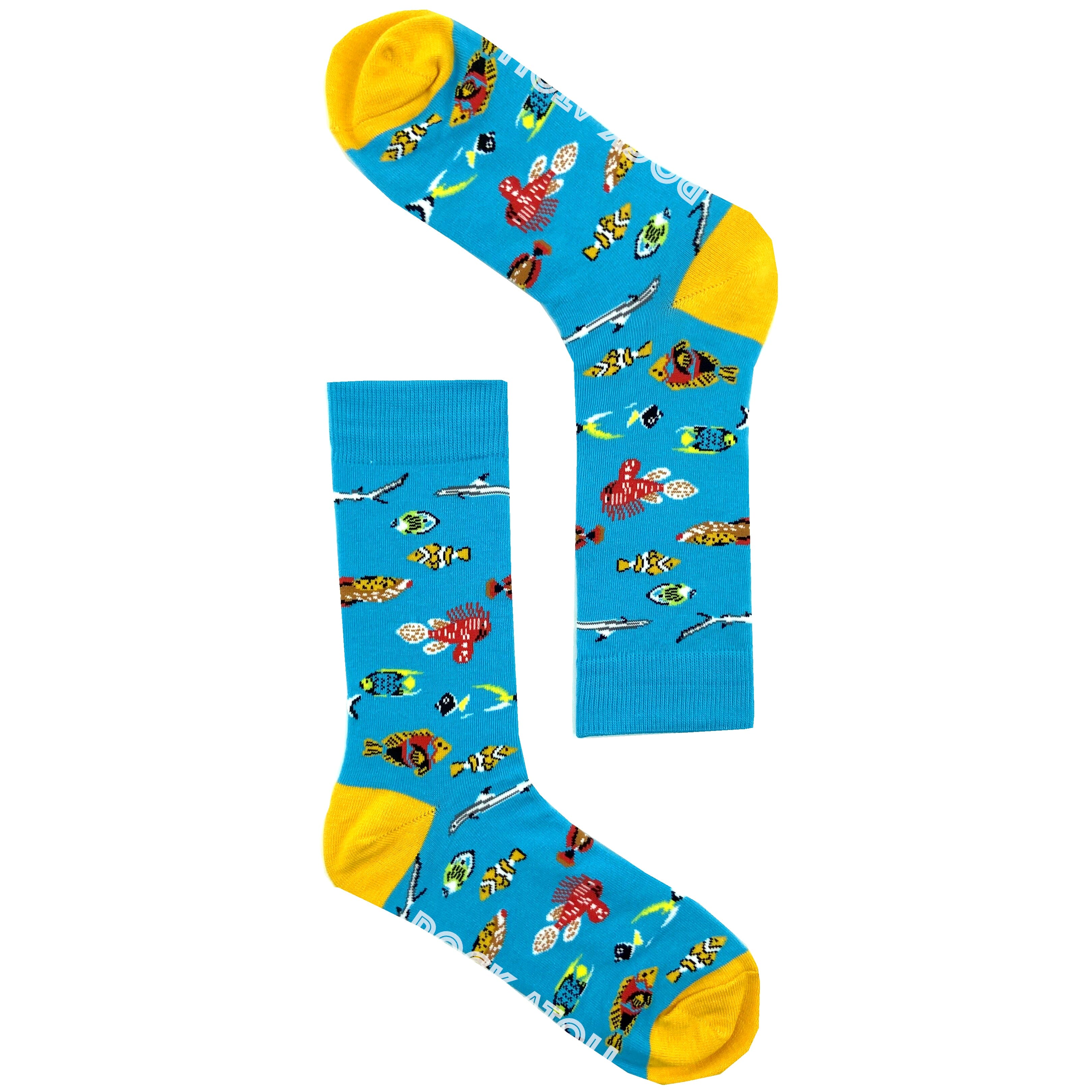 Bright Blue Unisex Ocean Themed Tropical Fish Patterned Novelty Socks