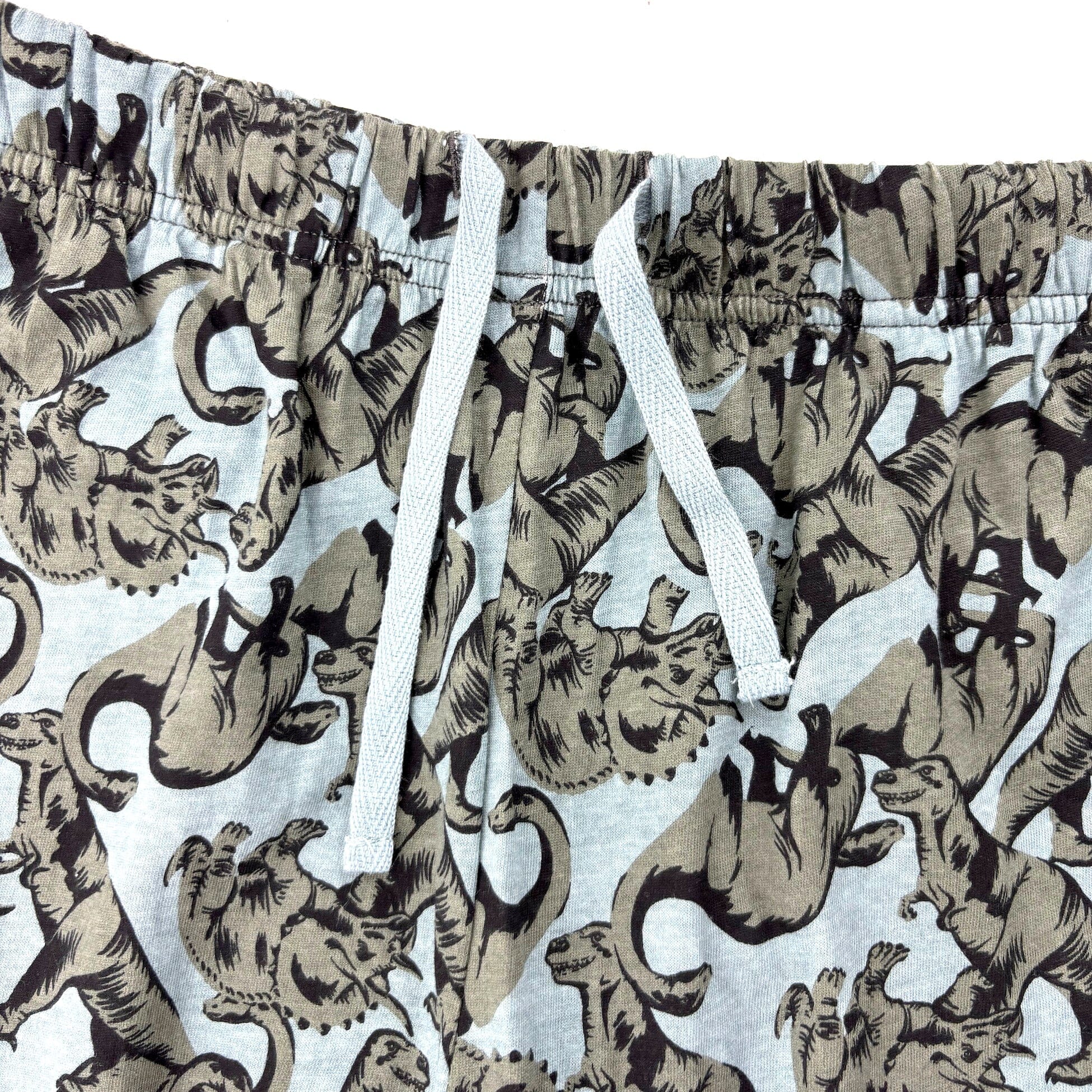 Men's Dinosaur Collage All Over Print Cotton Knit Long Pyjama Bottoms