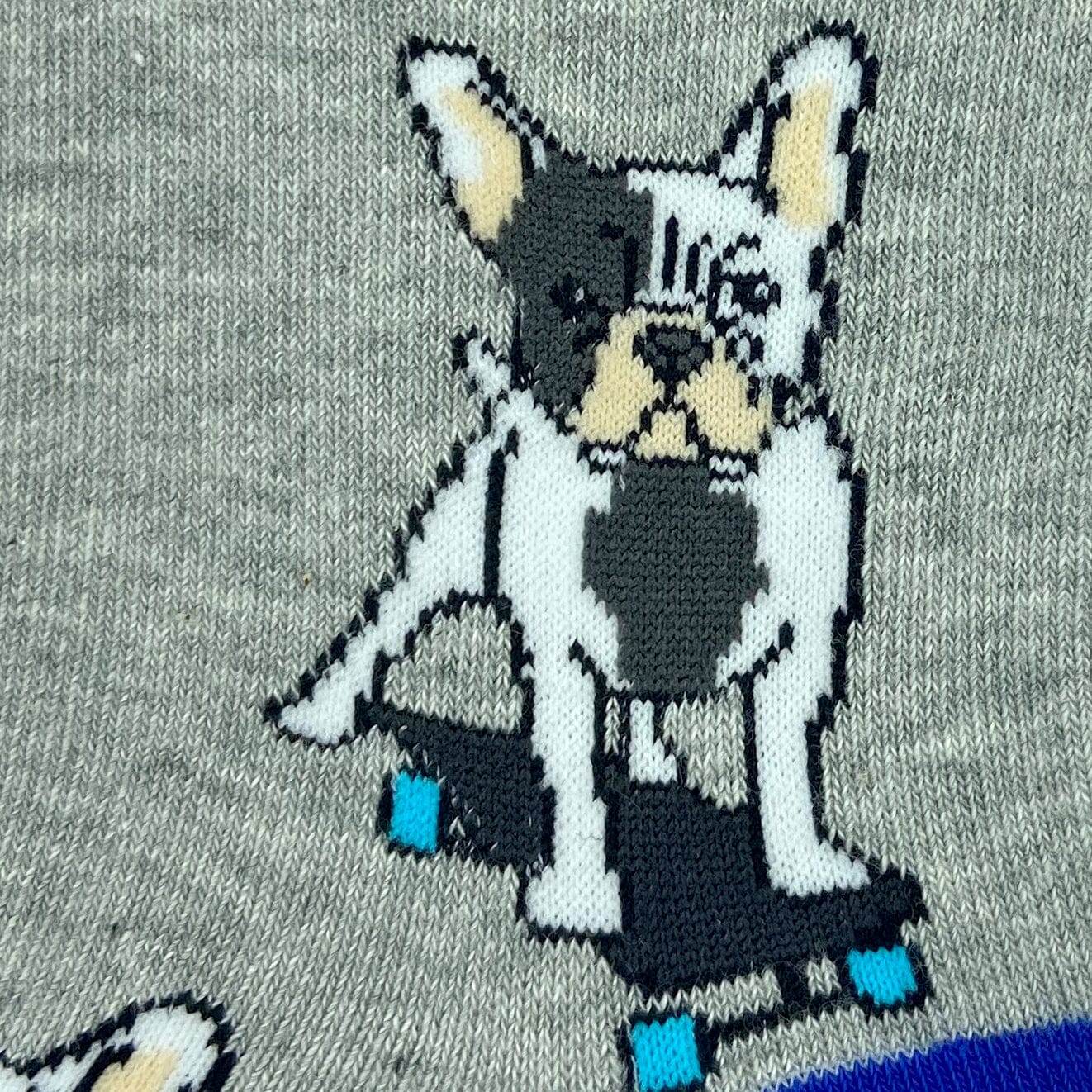 Adorable French Bulldogs on Skateboards Print Unisex Novelty Socks