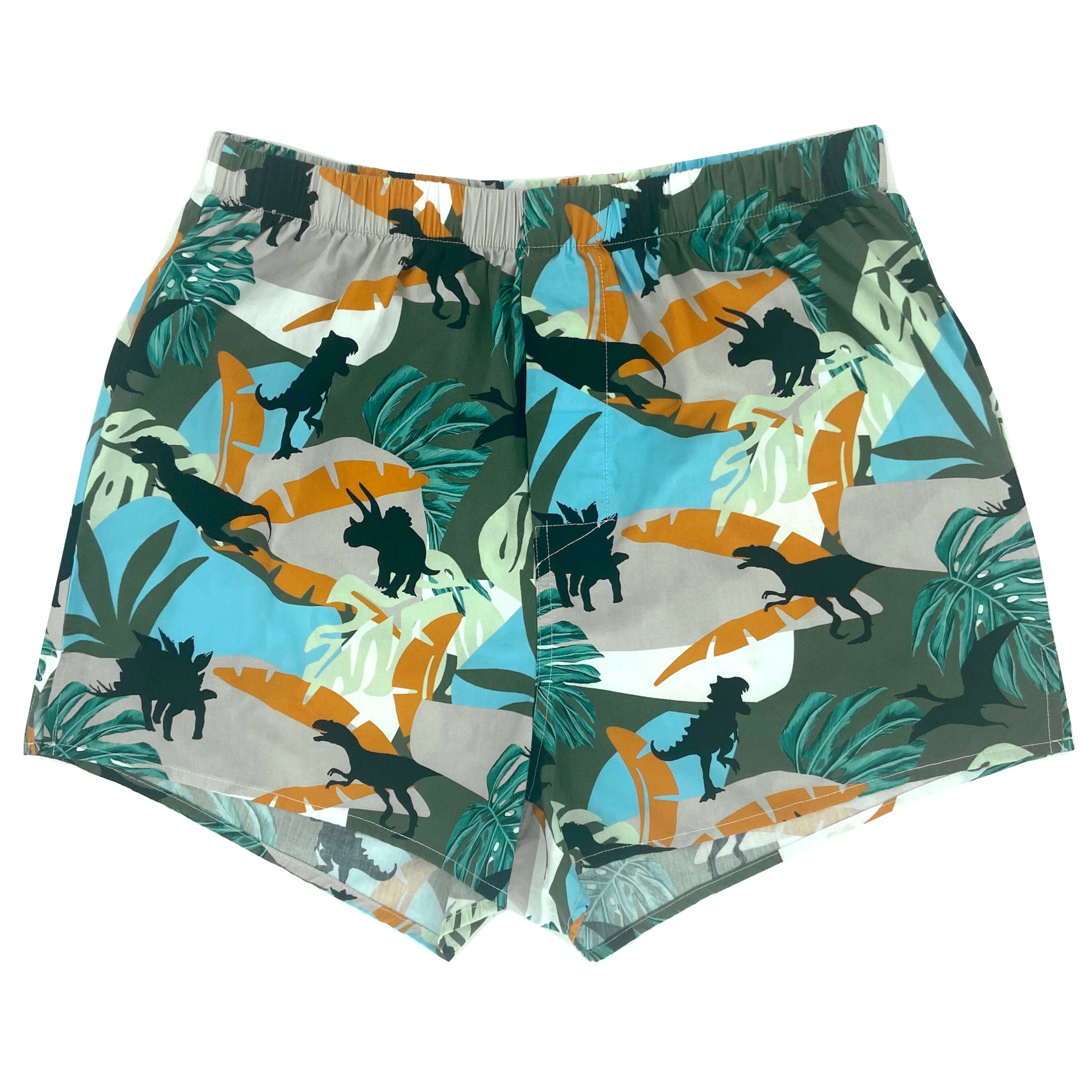 Fun Dinosaur Underwear For Adults. Shop Dinosaur Boxer Shorts for Men