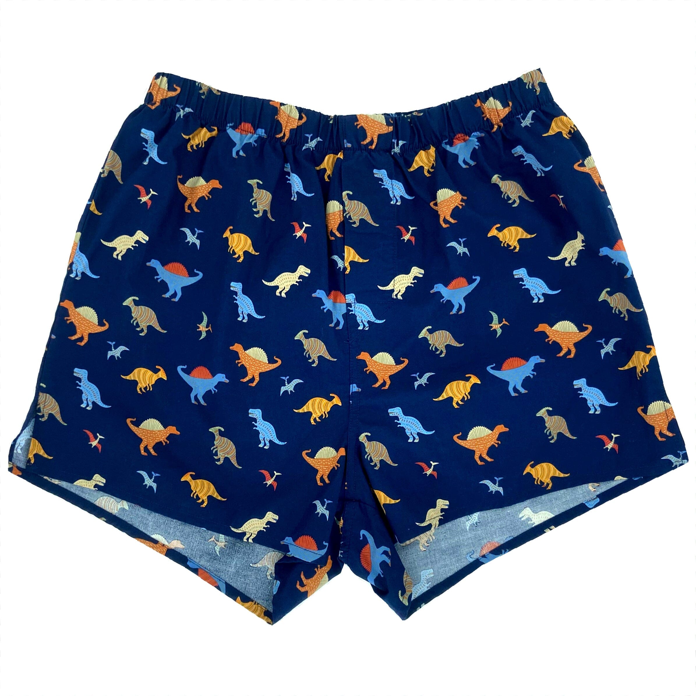 Men's Classic Dinosaur All Over Print Jurassic Boxer Shorts for Adults