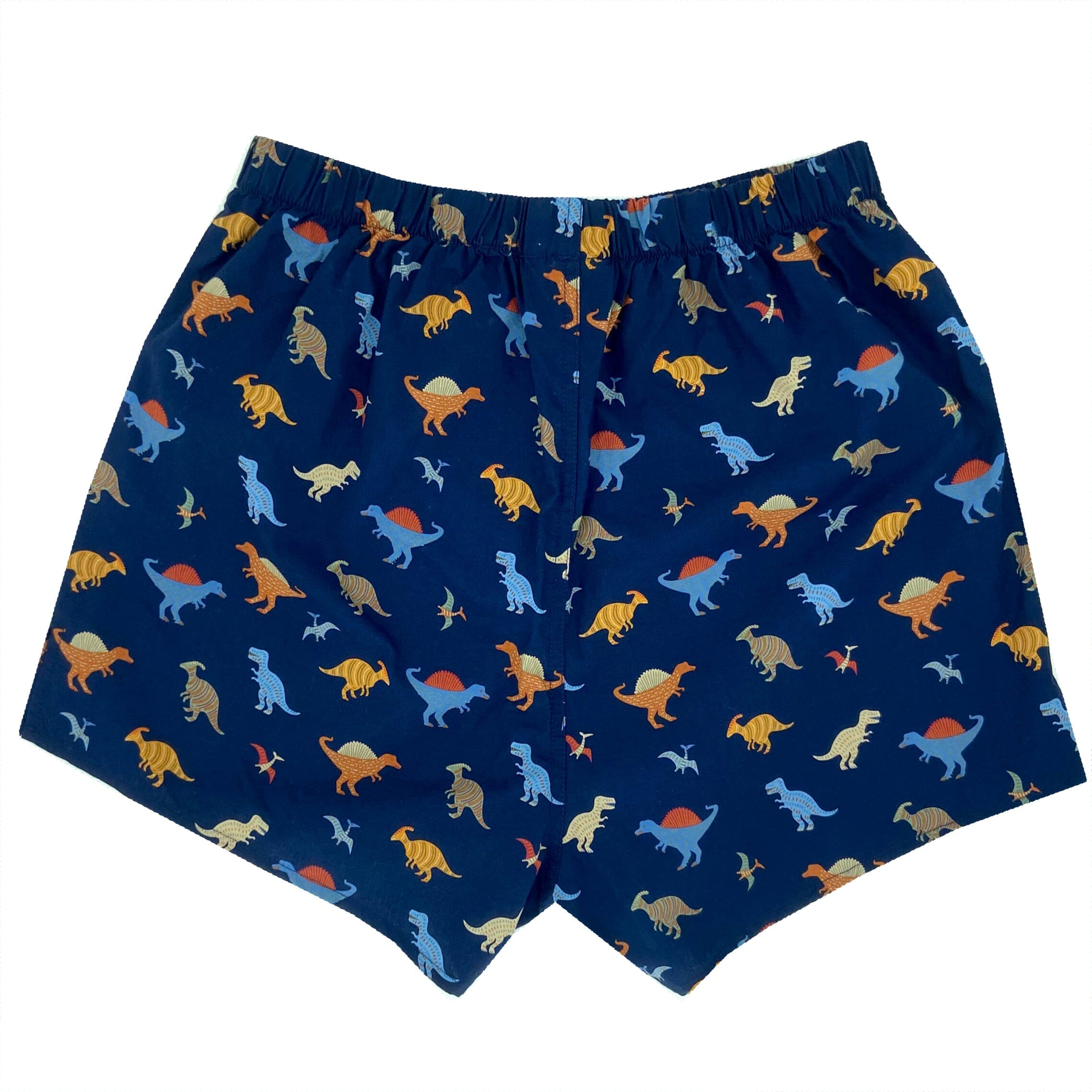 Men's Classic Dinosaur All Over Print Jurassic Boxer Shorts for Adults