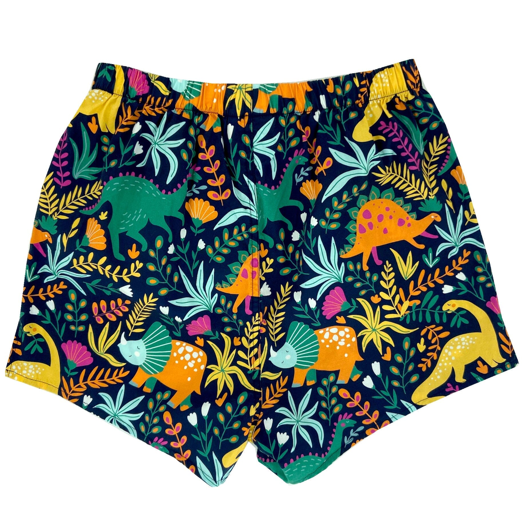 Men's Colorful Floral Dinosaur Print Jurassic Boxer Shorts for Adults