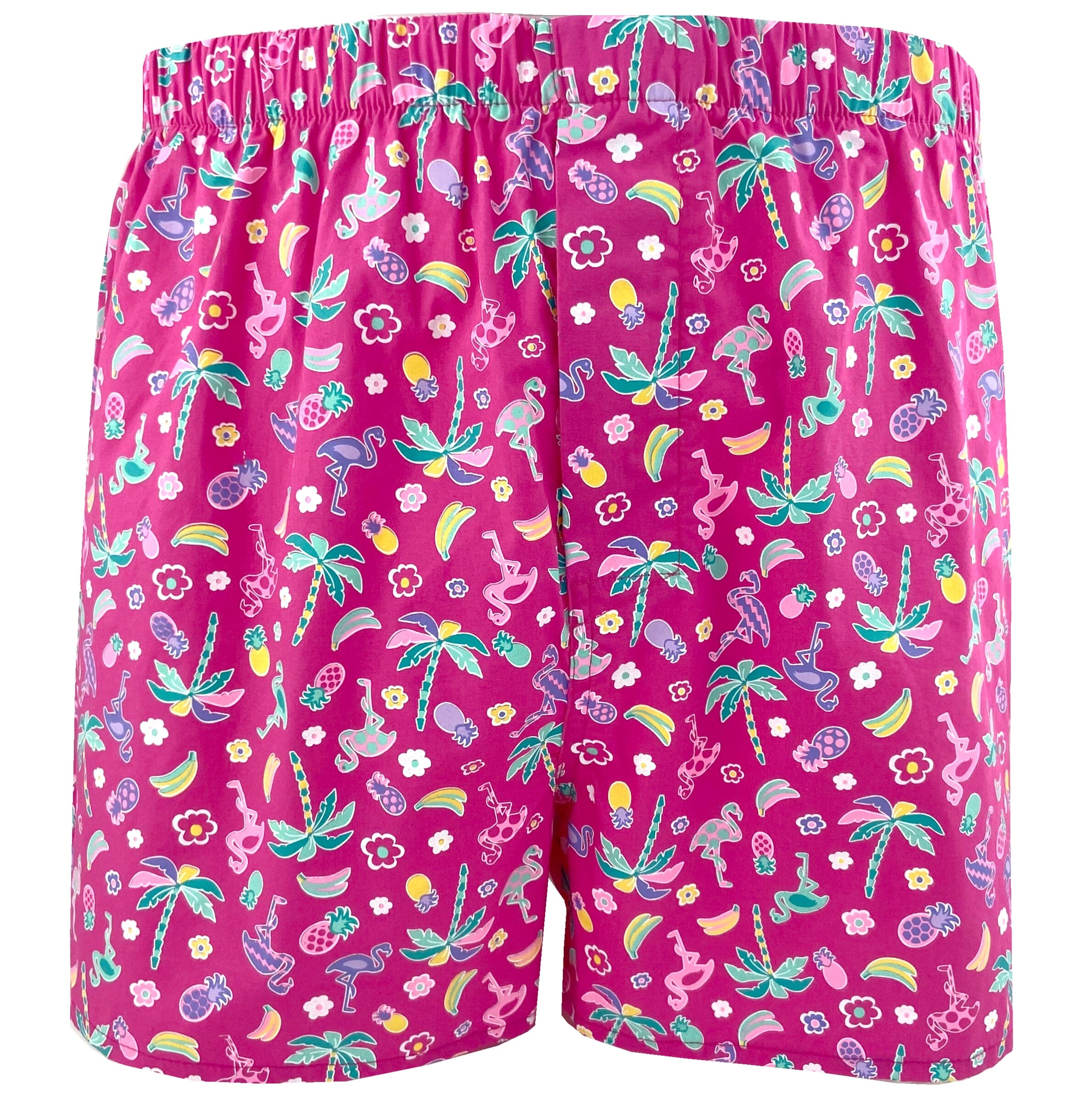 Men's Colorful Tropical Fruit & Flamingo Print Boxer Shorts Underwear