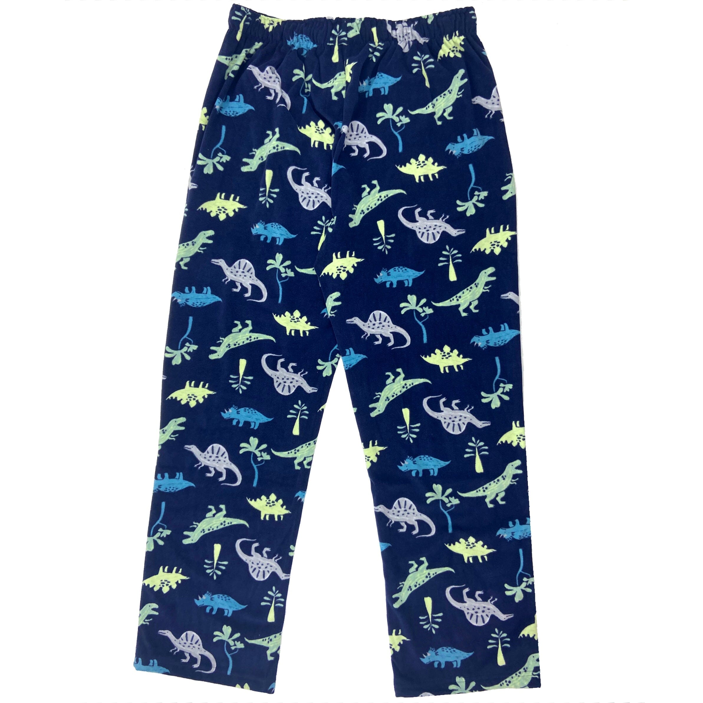 Cartoon Dinosaur T-Rex Triceratops Novelty Print Fleece Pants for Adults