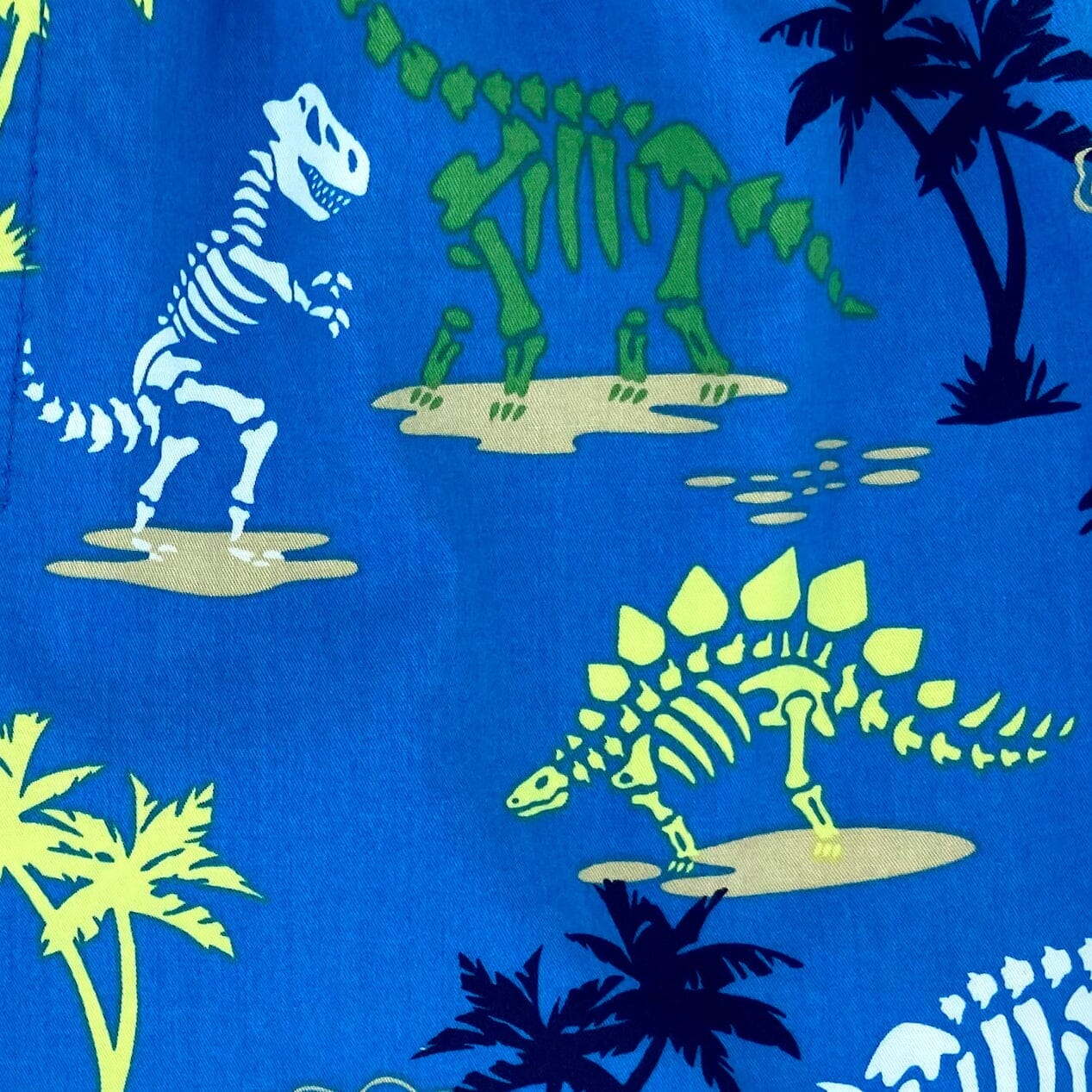Colorful Men's Blue Dinosaur Fossil Patterned Lightweight Boxer Shorts