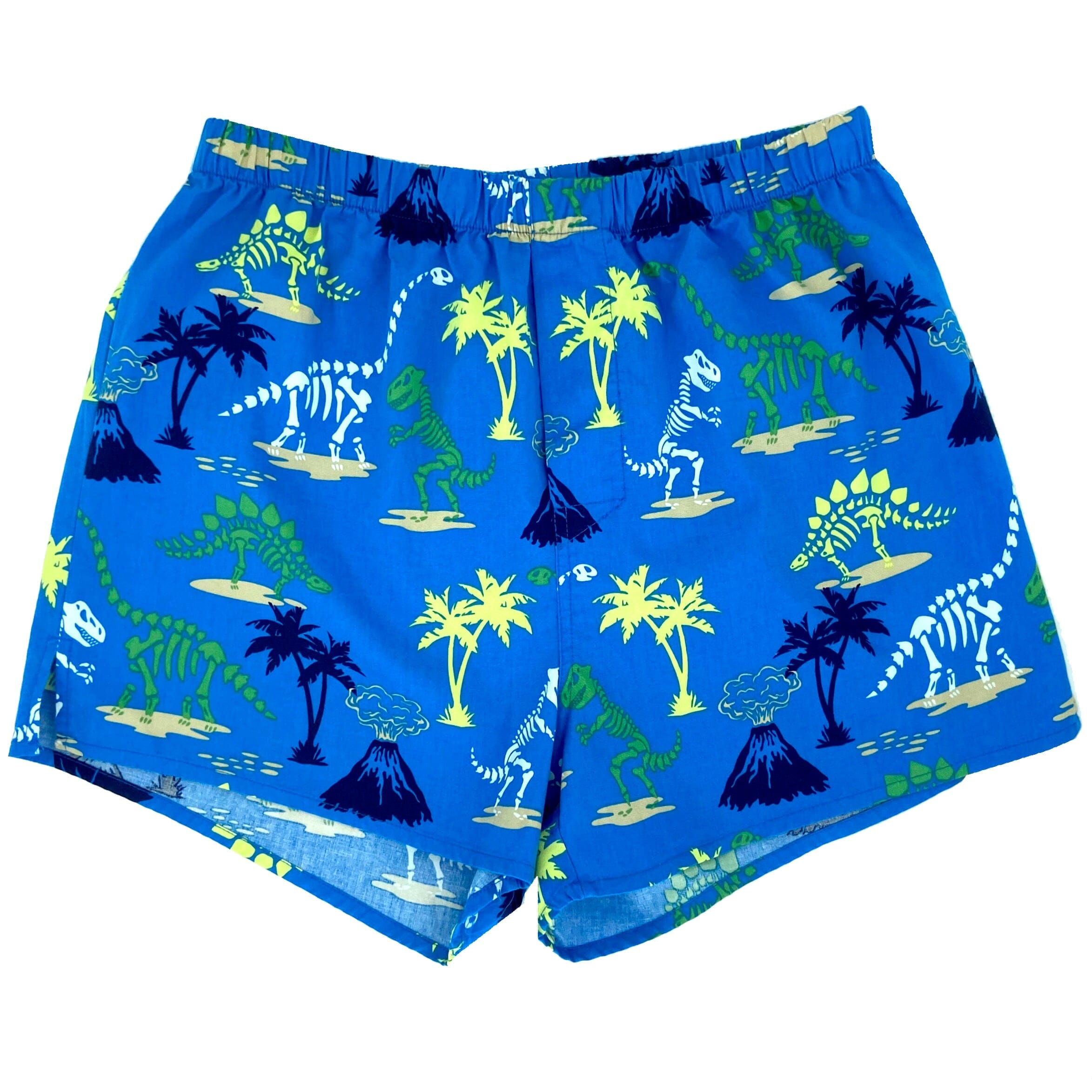 Colorful Men's Blue Dinosaur Fossil Patterned Lightweight Boxer Shorts