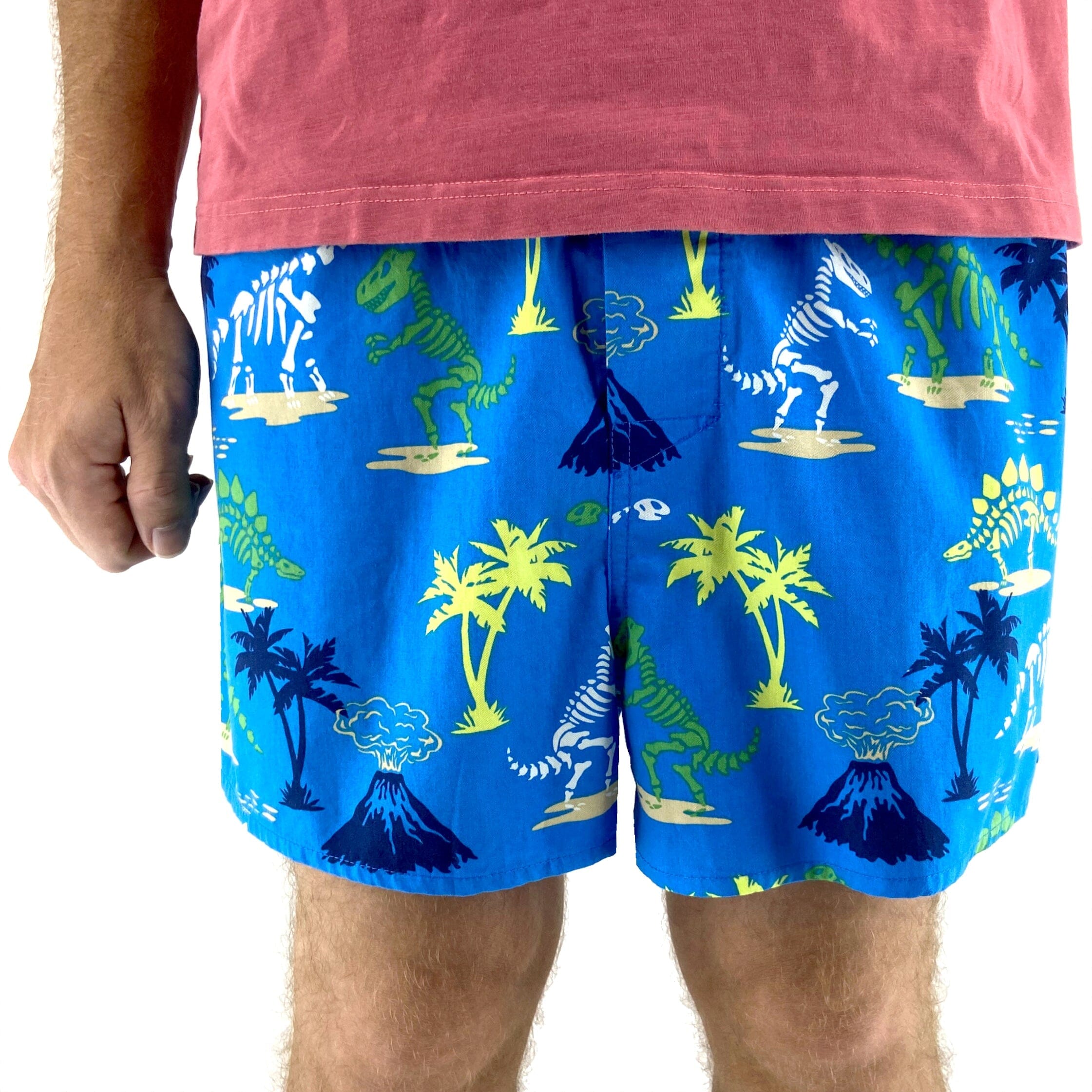Colorful Men's Blue Dinosaur Fossil Patterned Lightweight Boxer Shorts