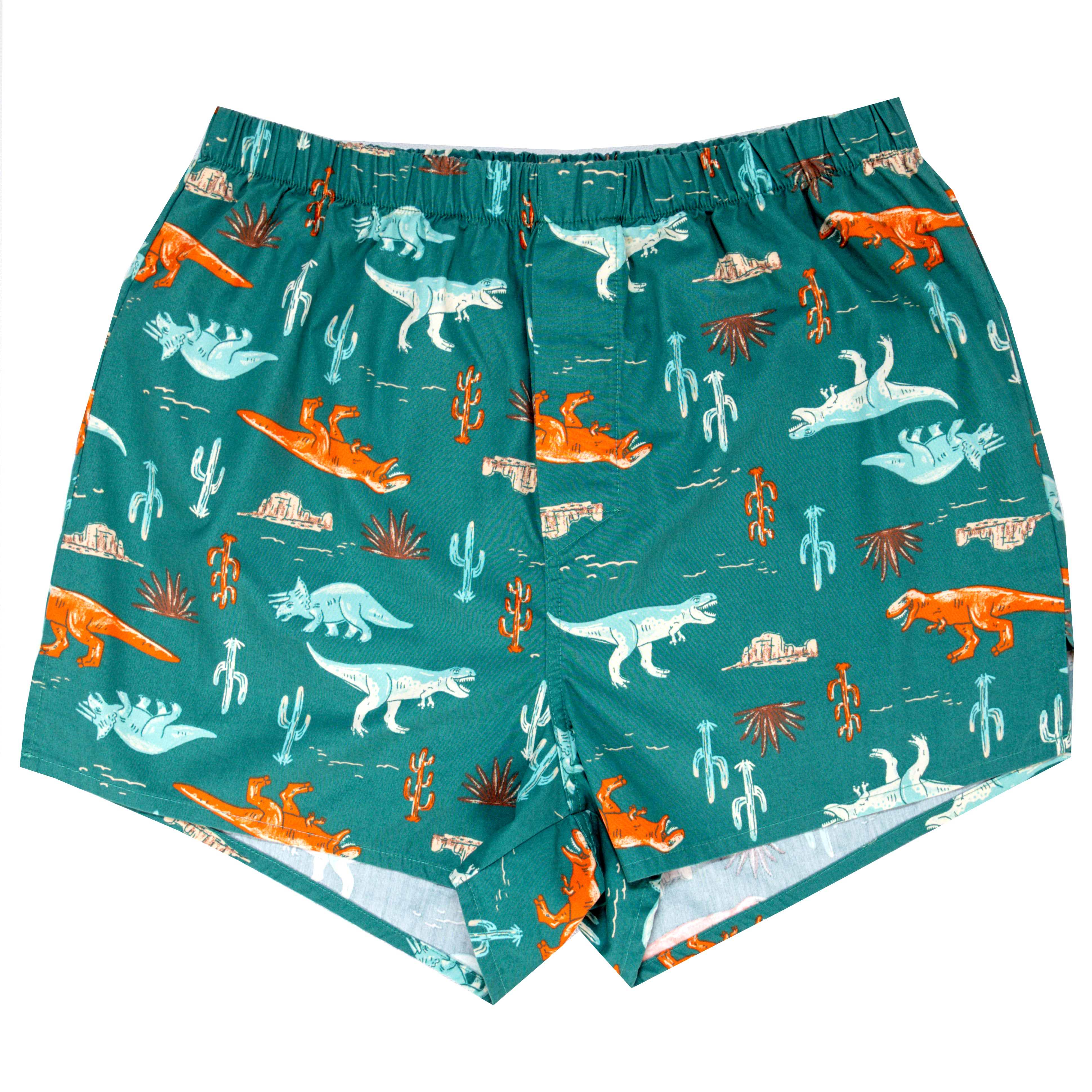 Men's Tyrannosaurus Triceratops Dinosaur Pattern Boxer Shorts in Blue