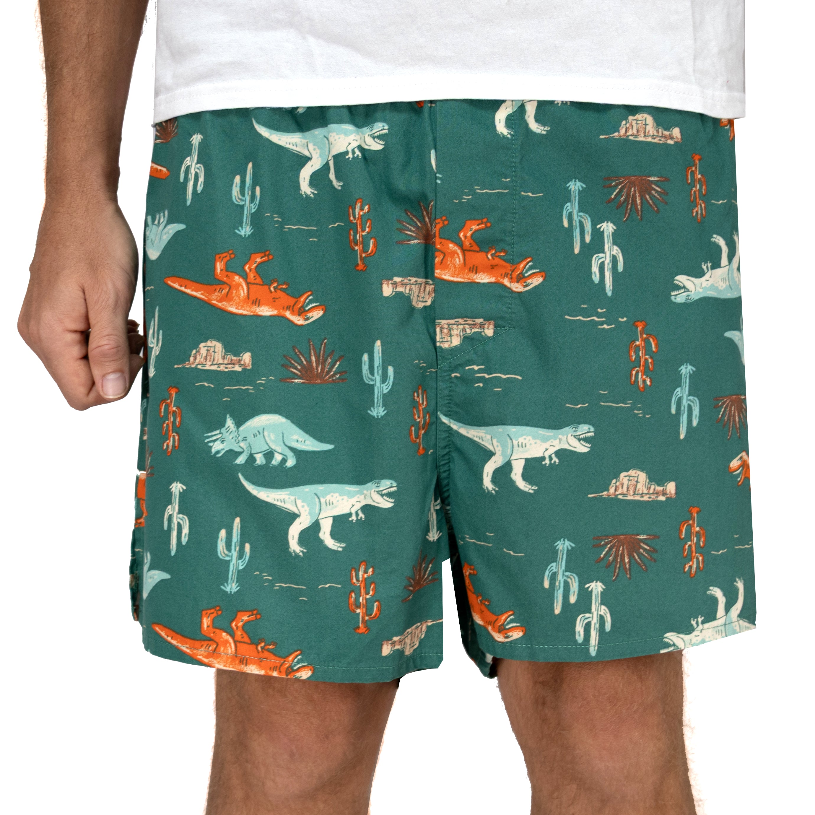 Men's Tyrannosaurus Triceratops Dinosaur Pattern Boxer Shorts in Blue