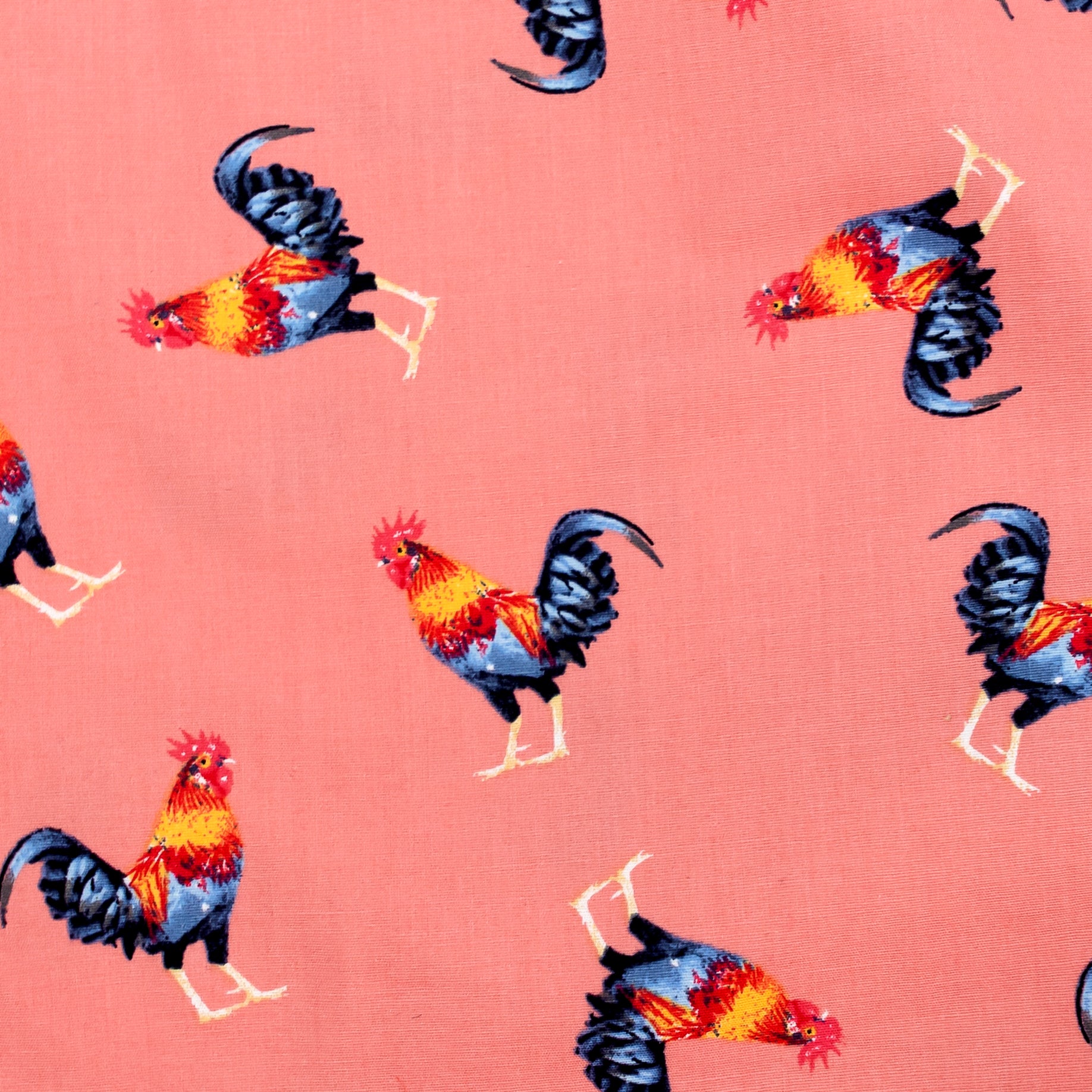 Buy Funny Men's Rooster Chicken All Over Print Cotton Boxer Shorts Menswear Patterned