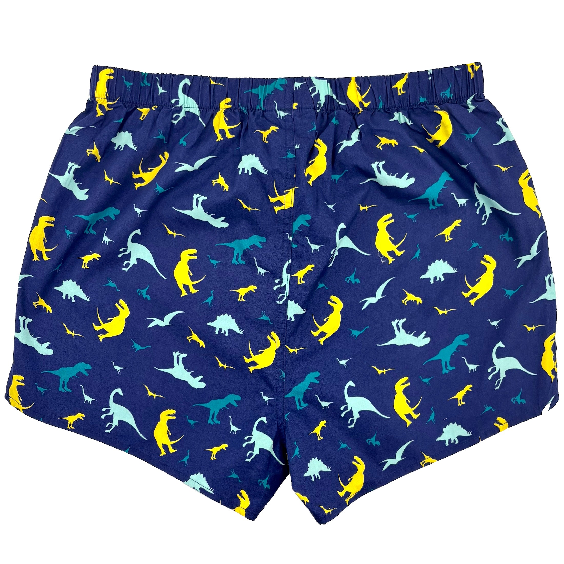 Classic Dinosaur Silhouette All Over Print Boxer Shorts for Adults