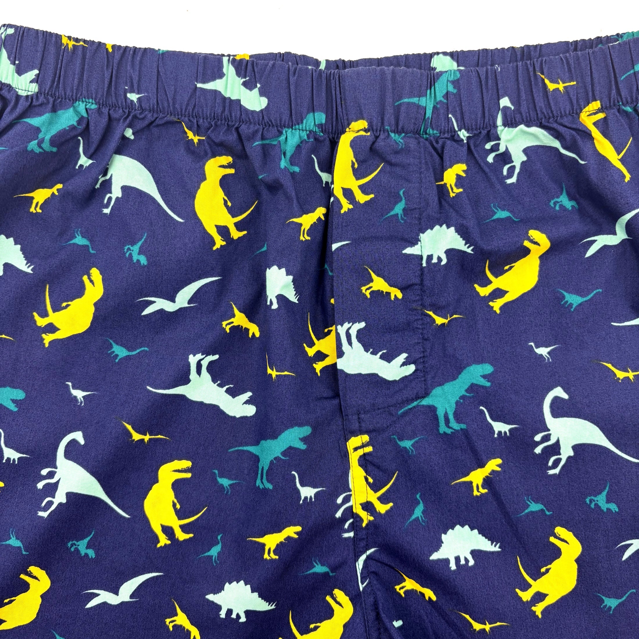 Classic Dinosaur Silhouette All Over Print Boxer Shorts for Adults