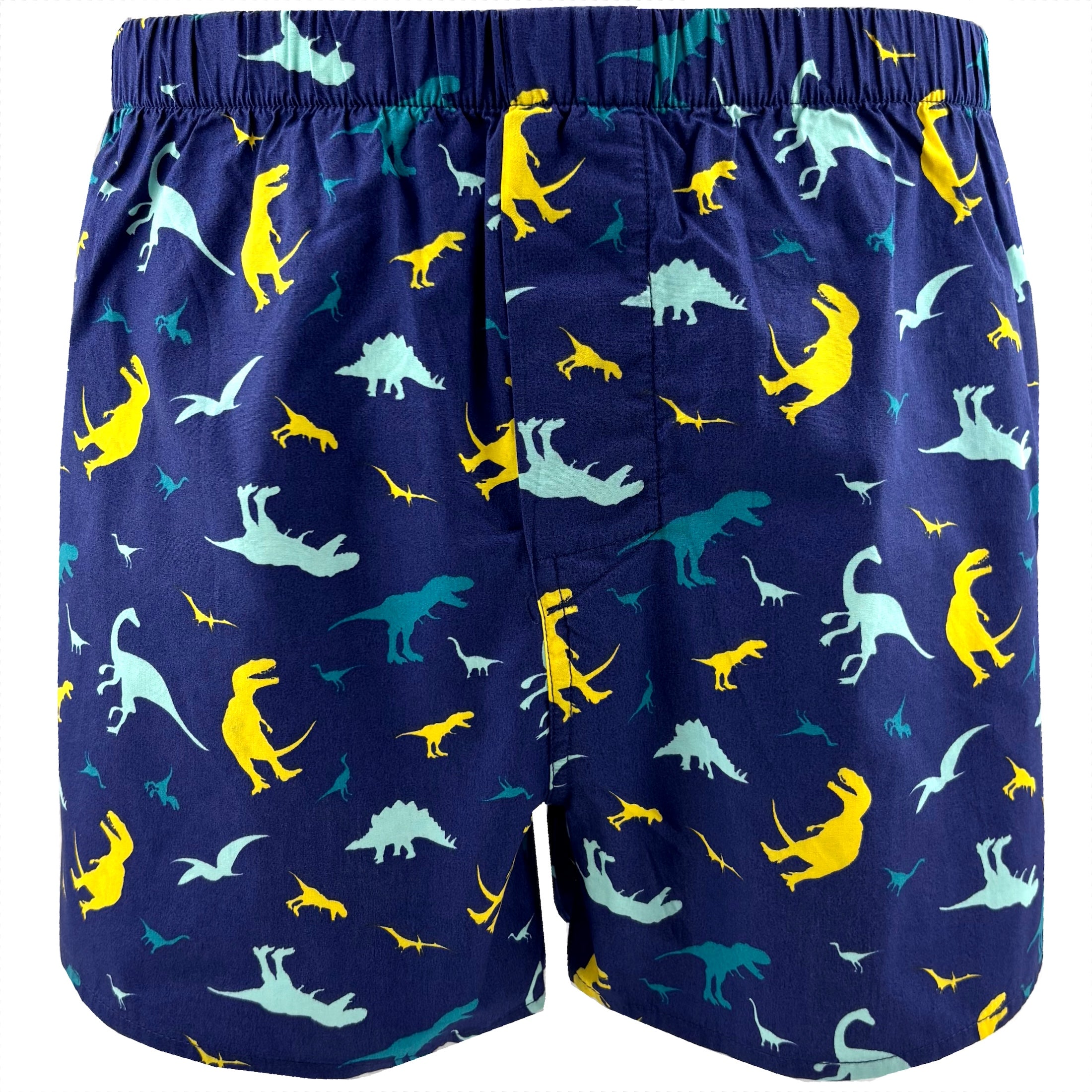 Classic Dinosaur Silhouette All Over Print Boxer Shorts for Adults