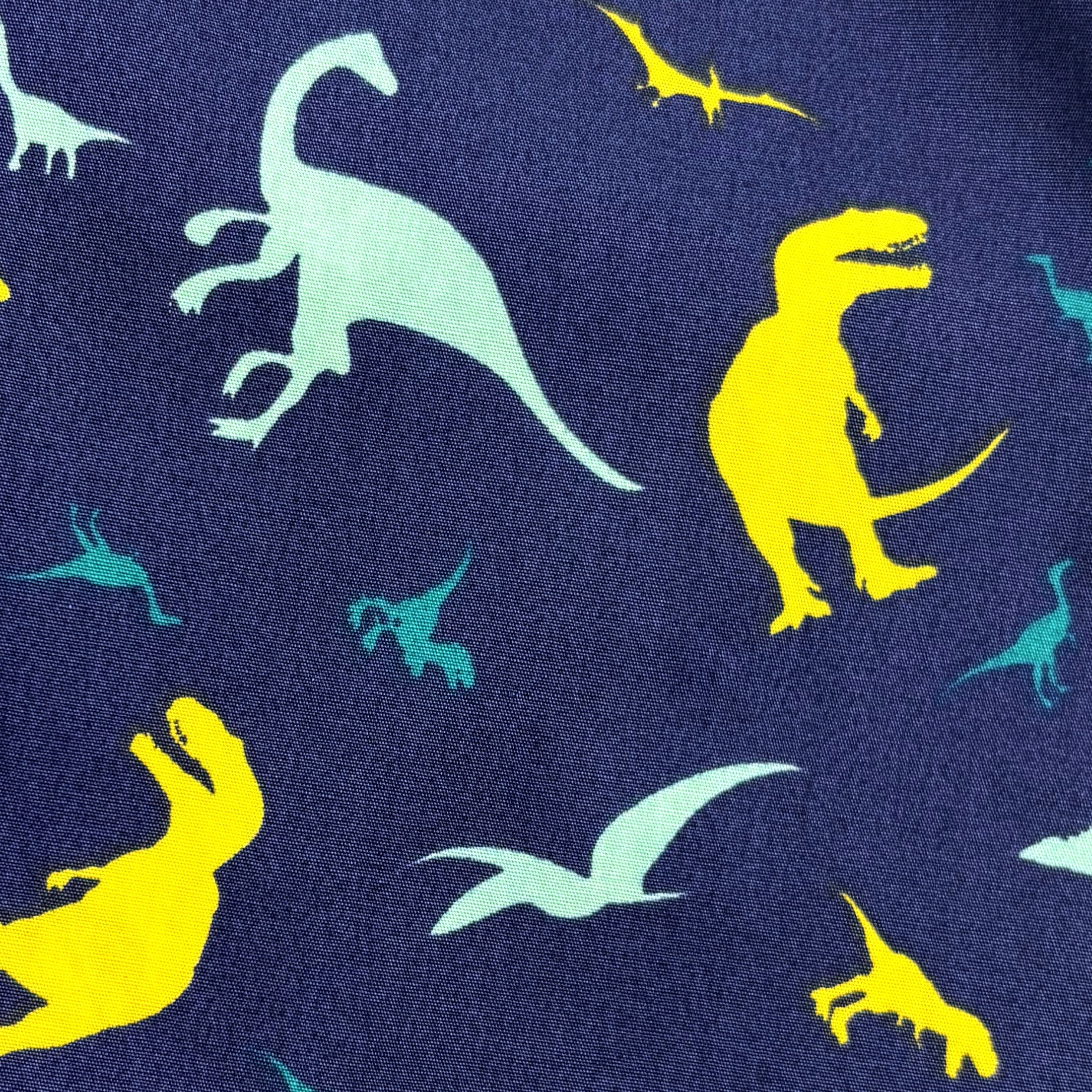 Classic Dinosaur Silhouette All Over Print Boxer Shorts for Adults