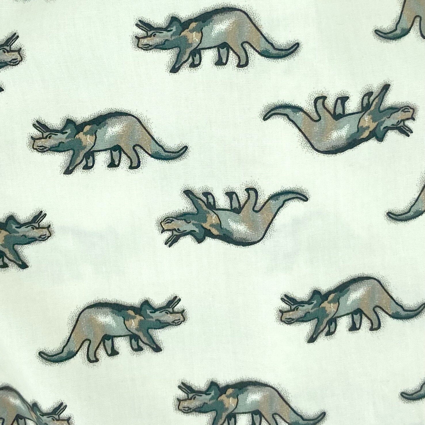 Men's Triceratops Dinosaurs Patterned Cotton Underwear Boxer Shorts