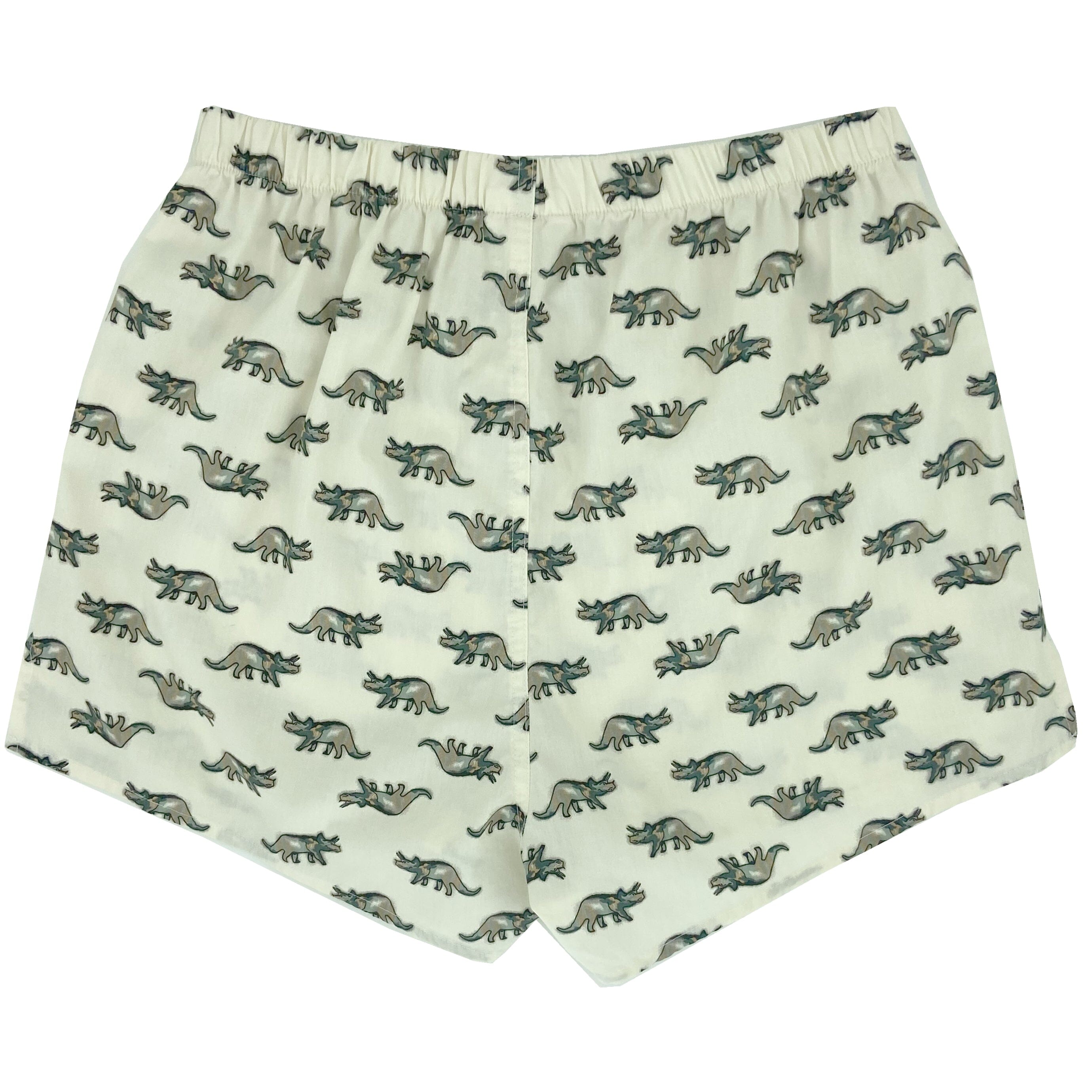 Men's Triceratops Dinosaurs Patterned Cotton Underwear Boxer Shorts