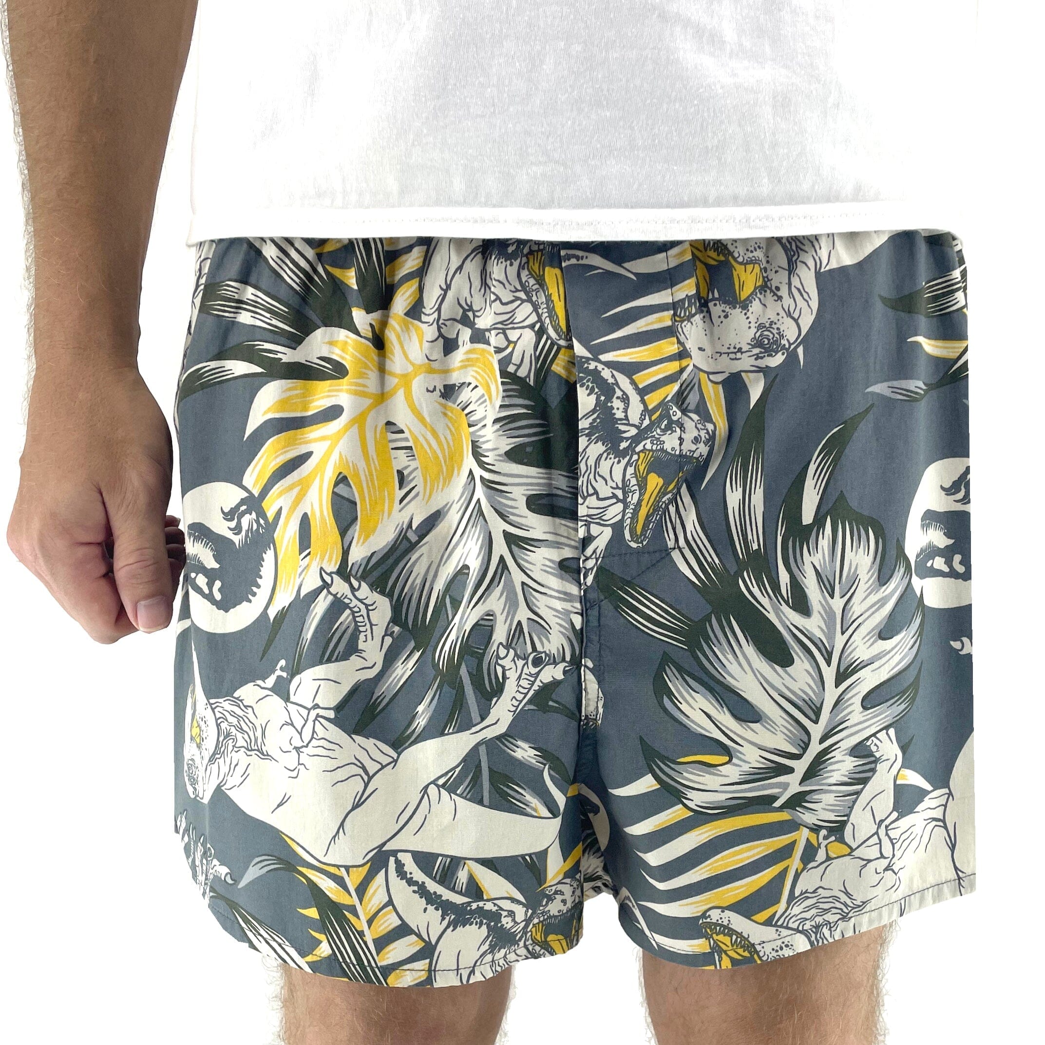 Men's Grey T-Rex Jurassic Dinosaur All Over Print Boxer Shorts in Grey