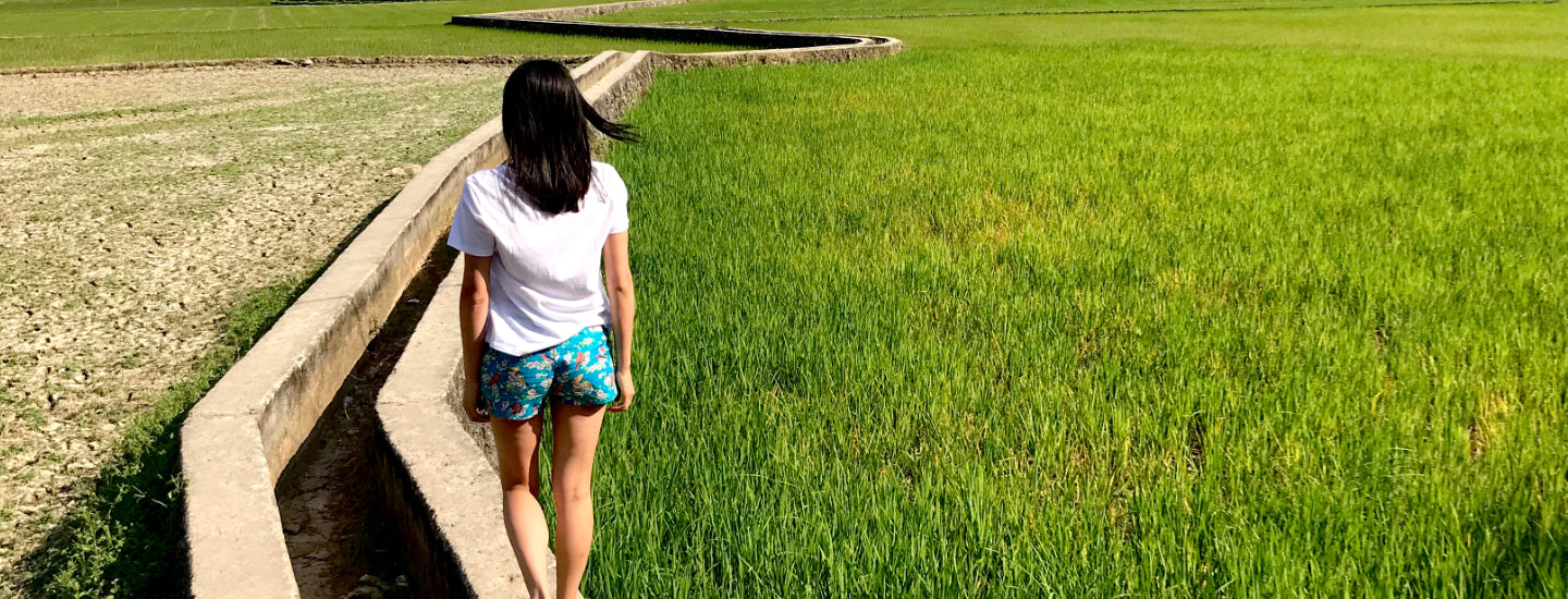 Women's Flat Front Chino Bermuda Shorts in Fun Loud Collorful Patterns - ROCK ATOLL