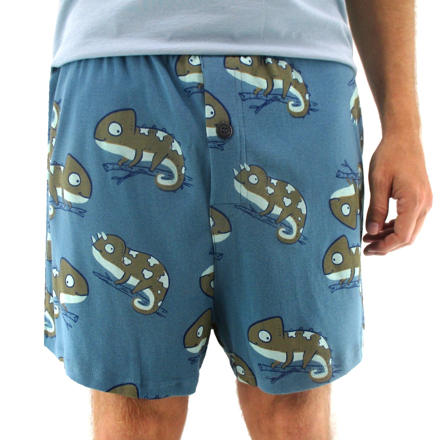 Men's Iguana Print Chameleon Patterned Cotton Knit Boxer Pajama Shorts