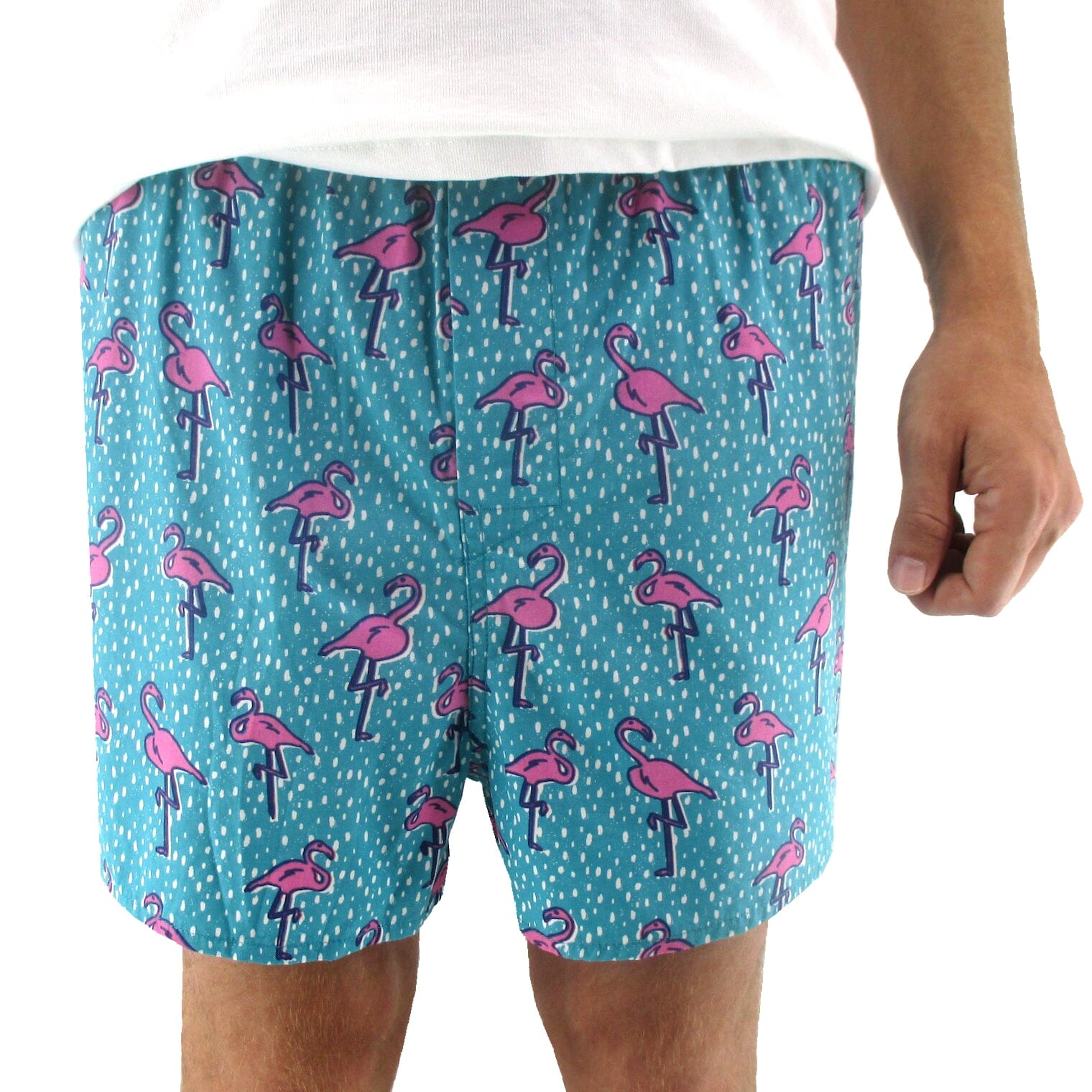Men's Colorful Flamingo Patterned Boxer Shorts Underwear in Blue