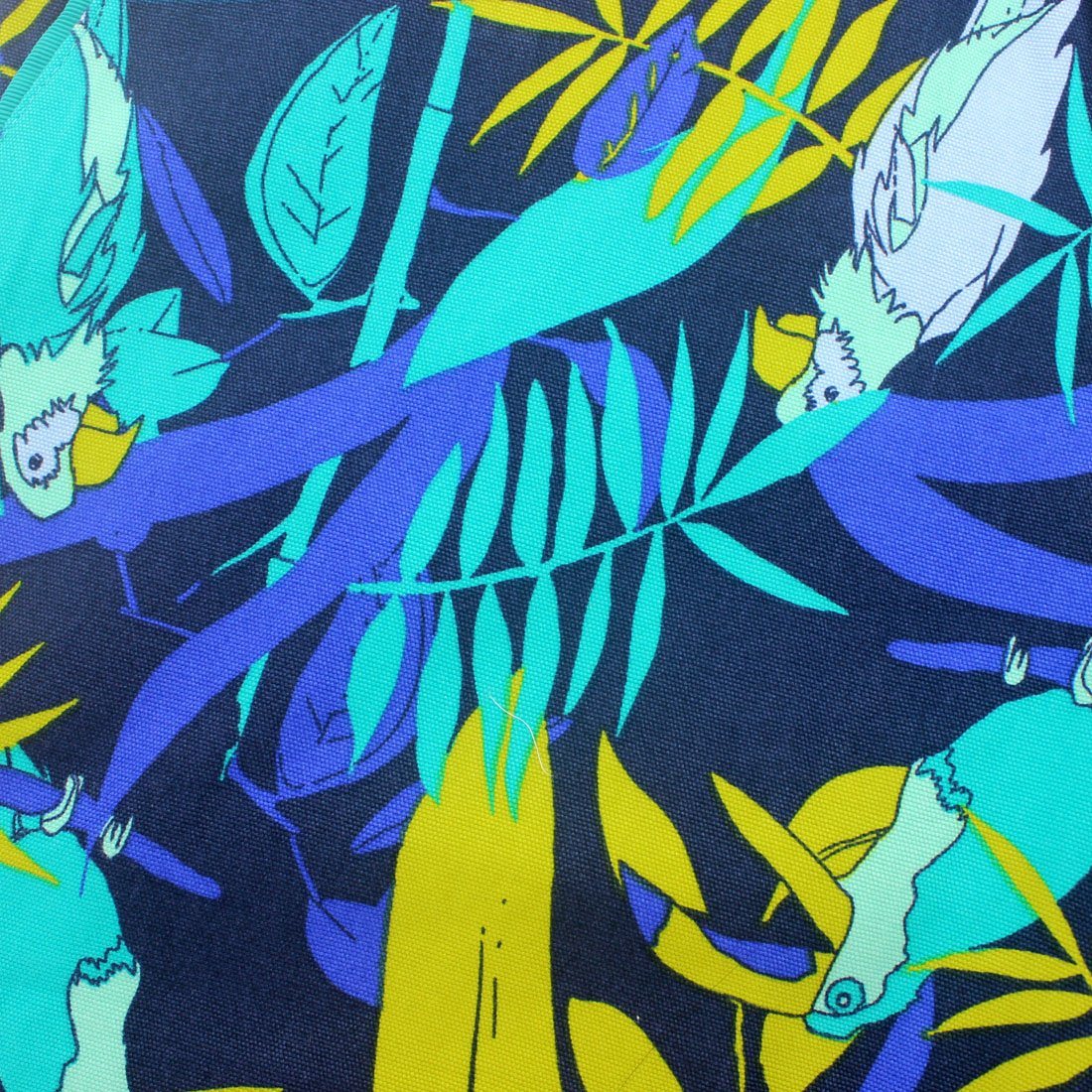 Parrots and Toucans Palm Leaves Graphic Print Shorts for Men