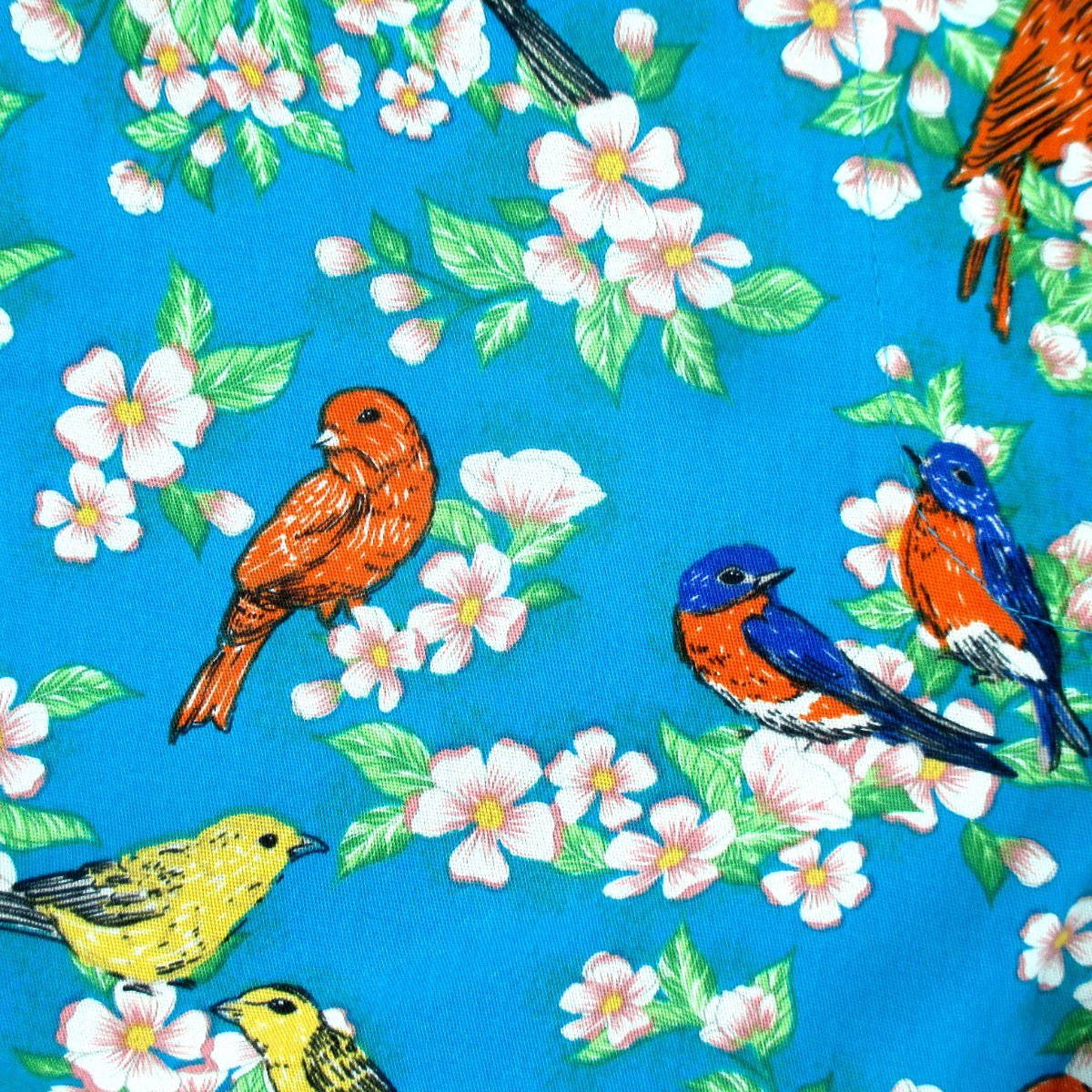 Rock Atoll Womenswear Colorful Robin Birds All Over Pattern Shorts for Ladies Women and Girls