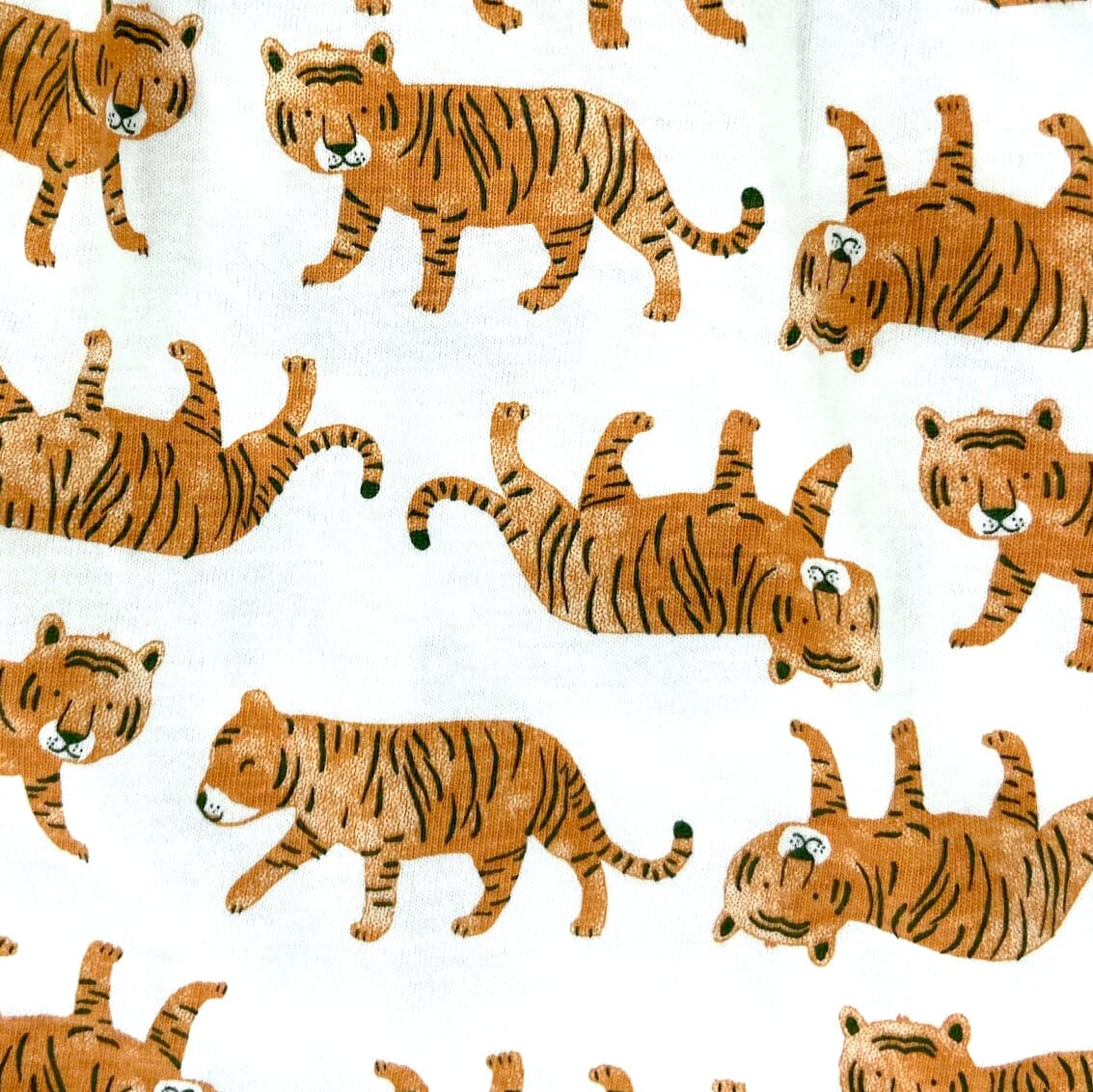 Women's Cute Jungle Tiger Cat All-Over Print Knit PJ Pyjama Shorts