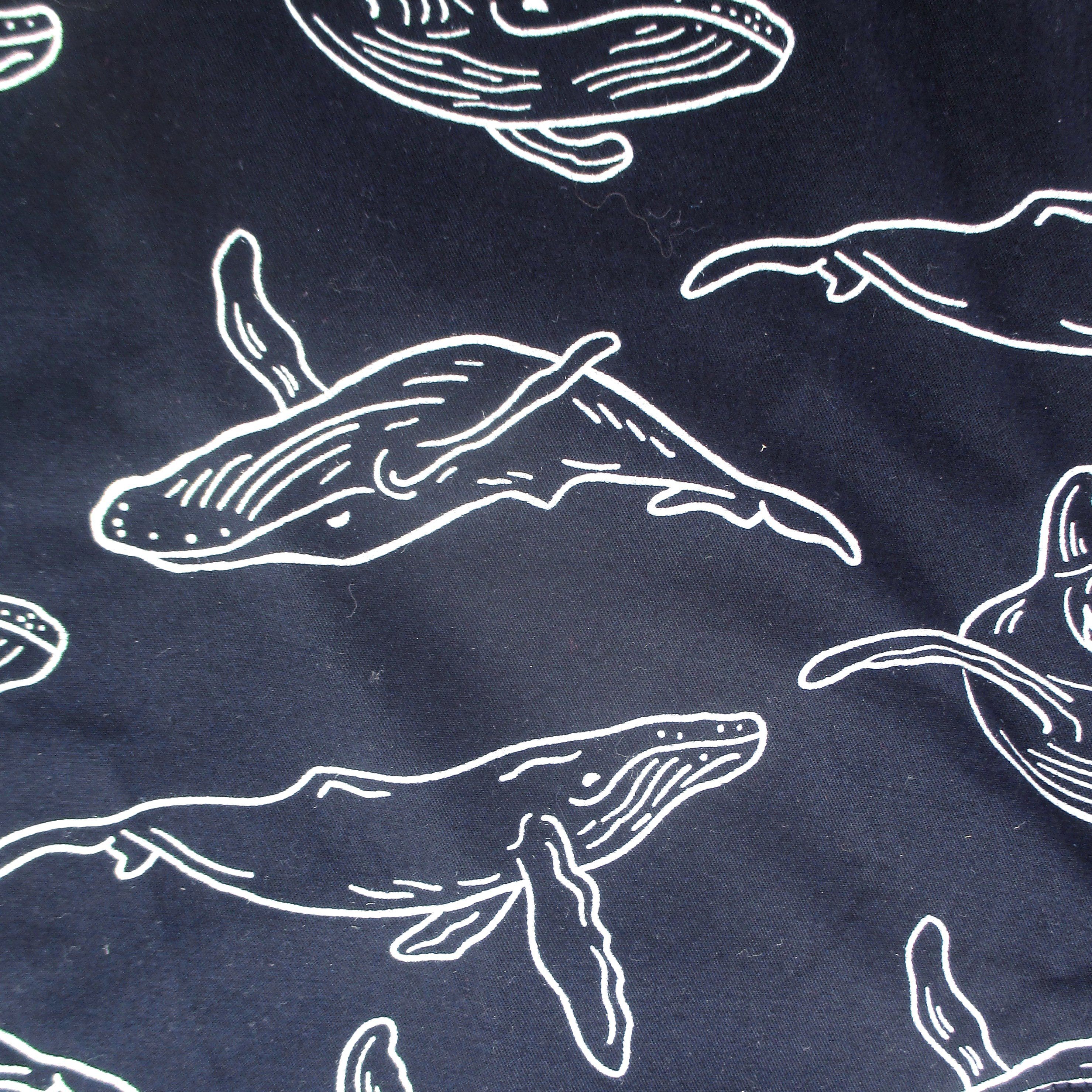 Whale Shorts For Men. Buy Awesome Animal Print Shorts Online