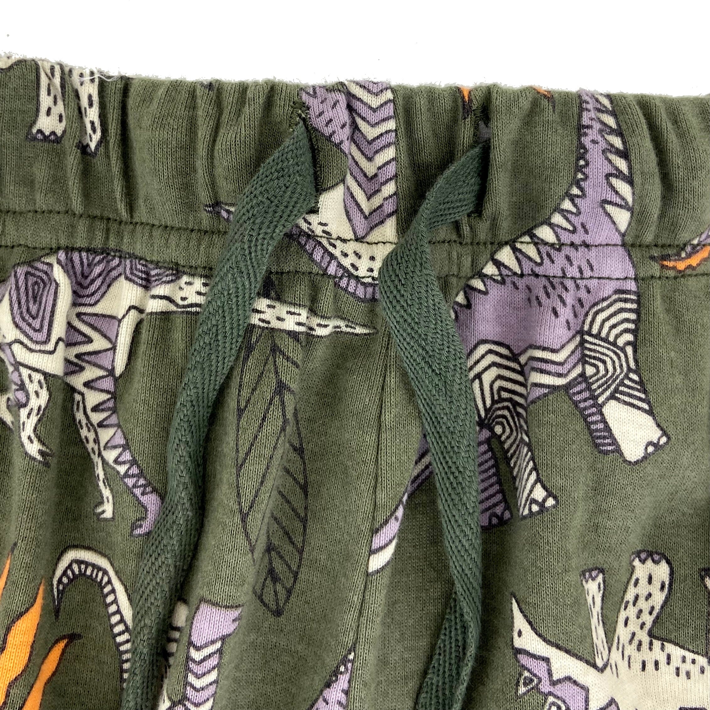 Men's Dinosaur Fossil Novelty Print Cotton Knit Long Pyjama Bottoms