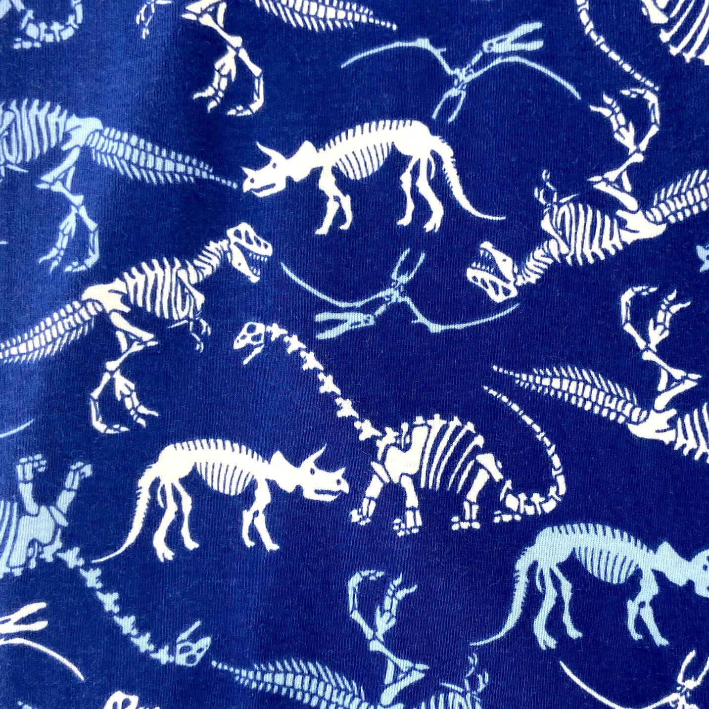 Men's Dinosaur Fossil Novelty Print Cotton Knit Long Pyjama Bottoms