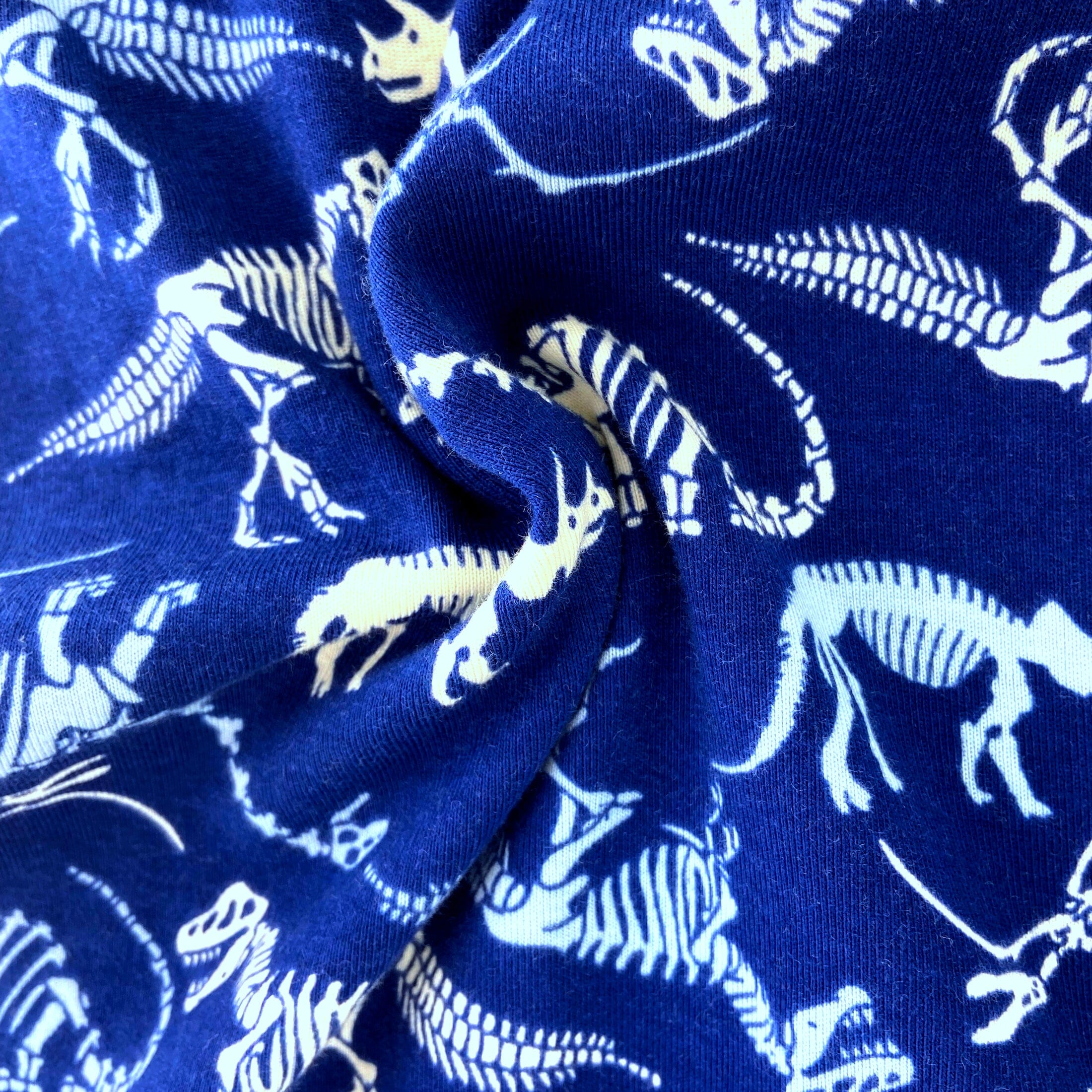 Men's Dinosaur Fossil Novelty Print Cotton Knit Long Pyjama Bottoms