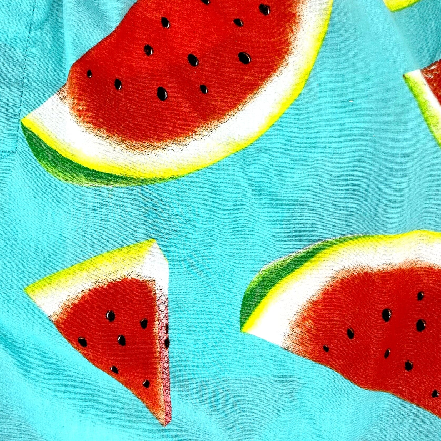 Men's Blue Fruity Watermelon All Over Print Boxer Shorts Underwear