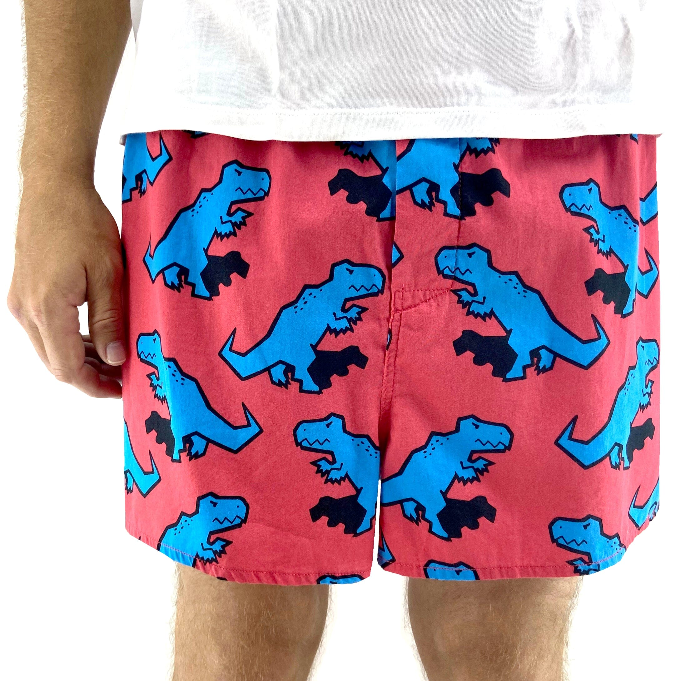 Men's Fun T-Rex Dinosaur Patterned Soft Cotton Boxer Shorts Underwear