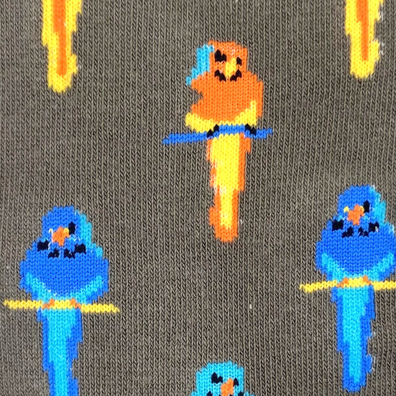 Unisex Tropical Bird Parakeet Lovebird Budgie Patterned Novelty Socks
