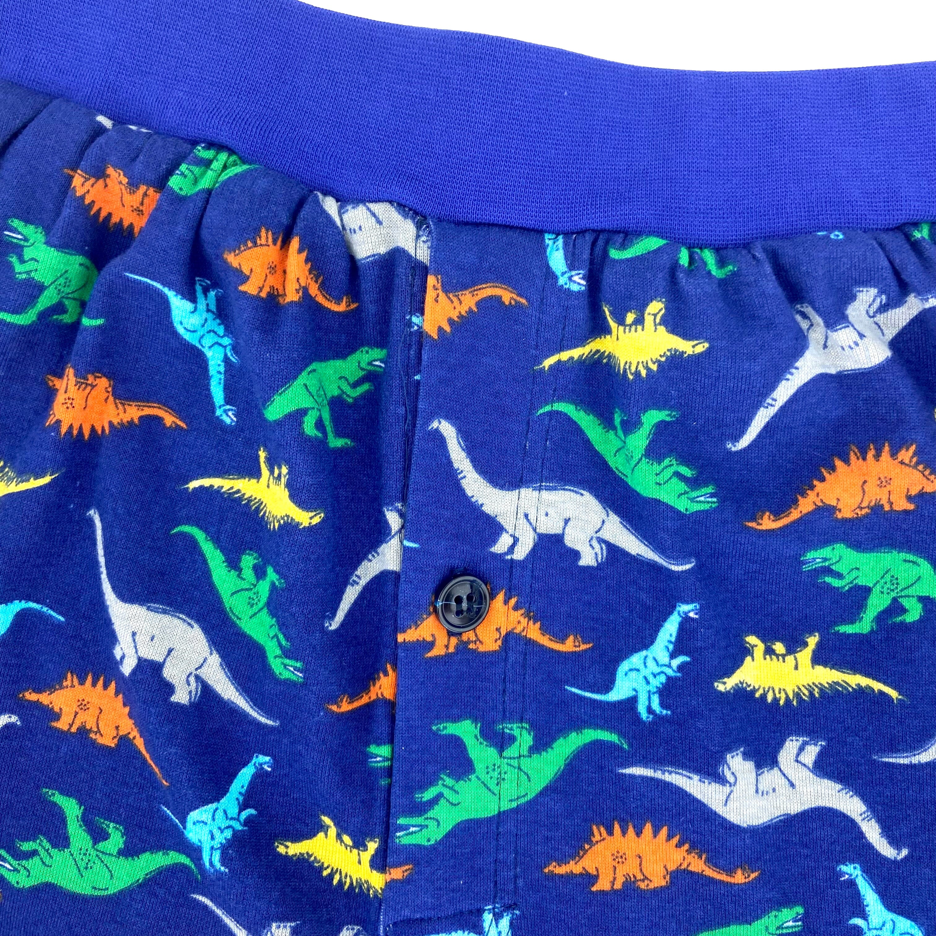 Men's Soft Comfy Colorful Dino Jurassic Print Cotton Pajama PJ Shorts