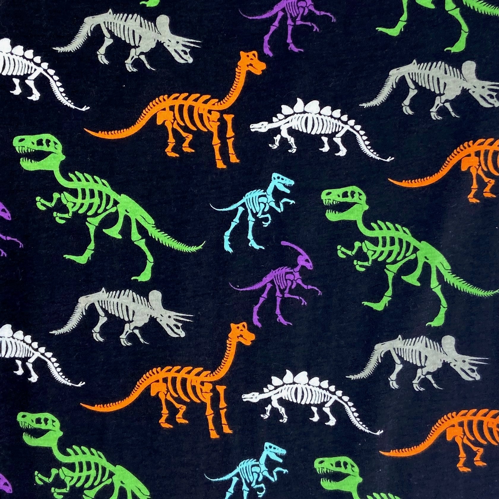 Men's Dinosaur Fossil Patterned Palaeontology Cotton Knit Pyjama Pants
