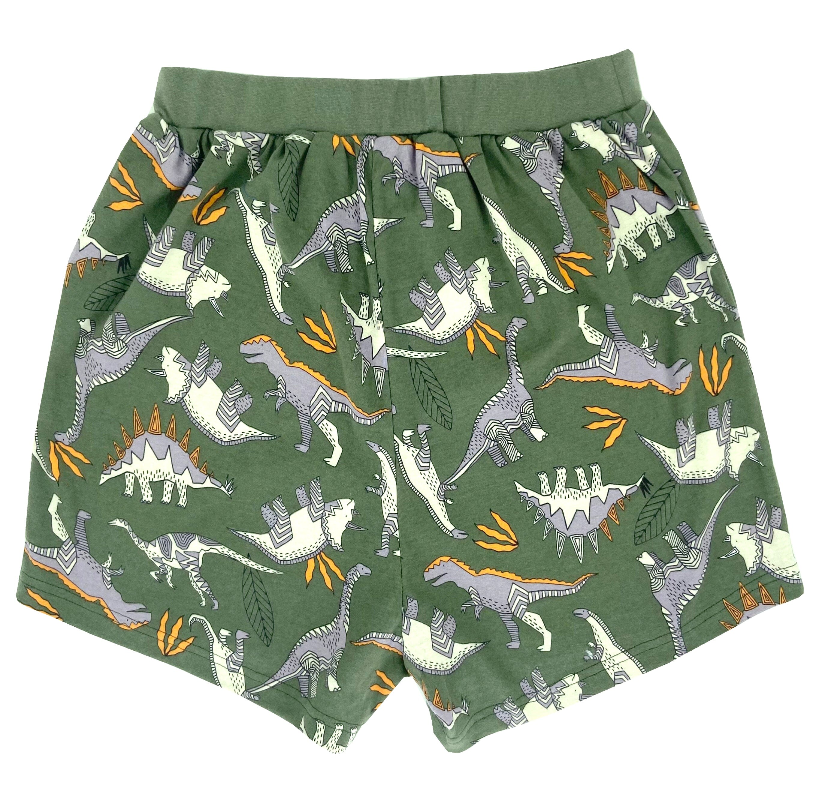 Men's Soft Comfy Abstract Dinosaur Print Cotton Knit Pajama PJ Shorts